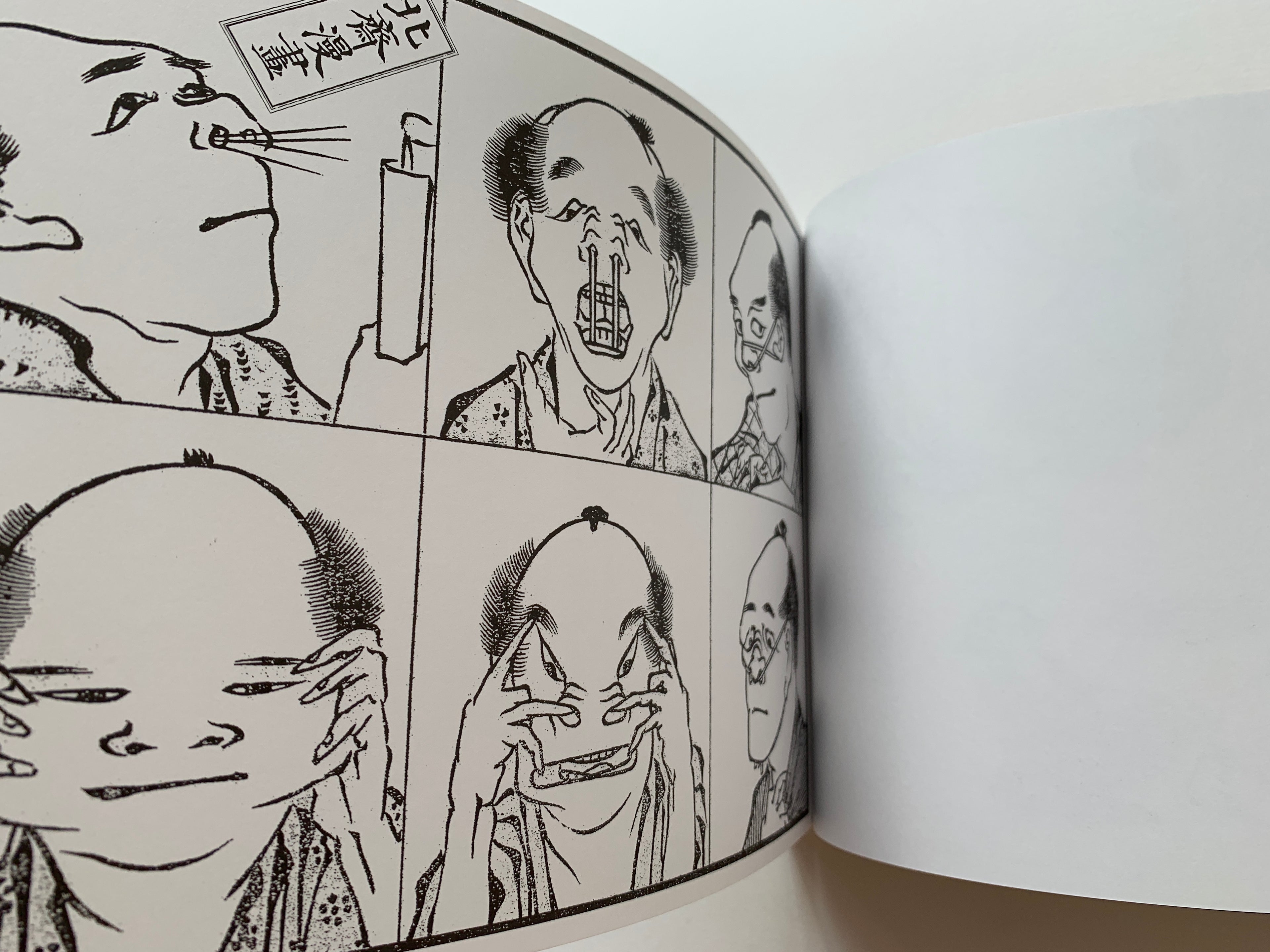 Set 2 Books/ HOKUSAI MANGA & 100 VIEWS OF Mt. FUJI