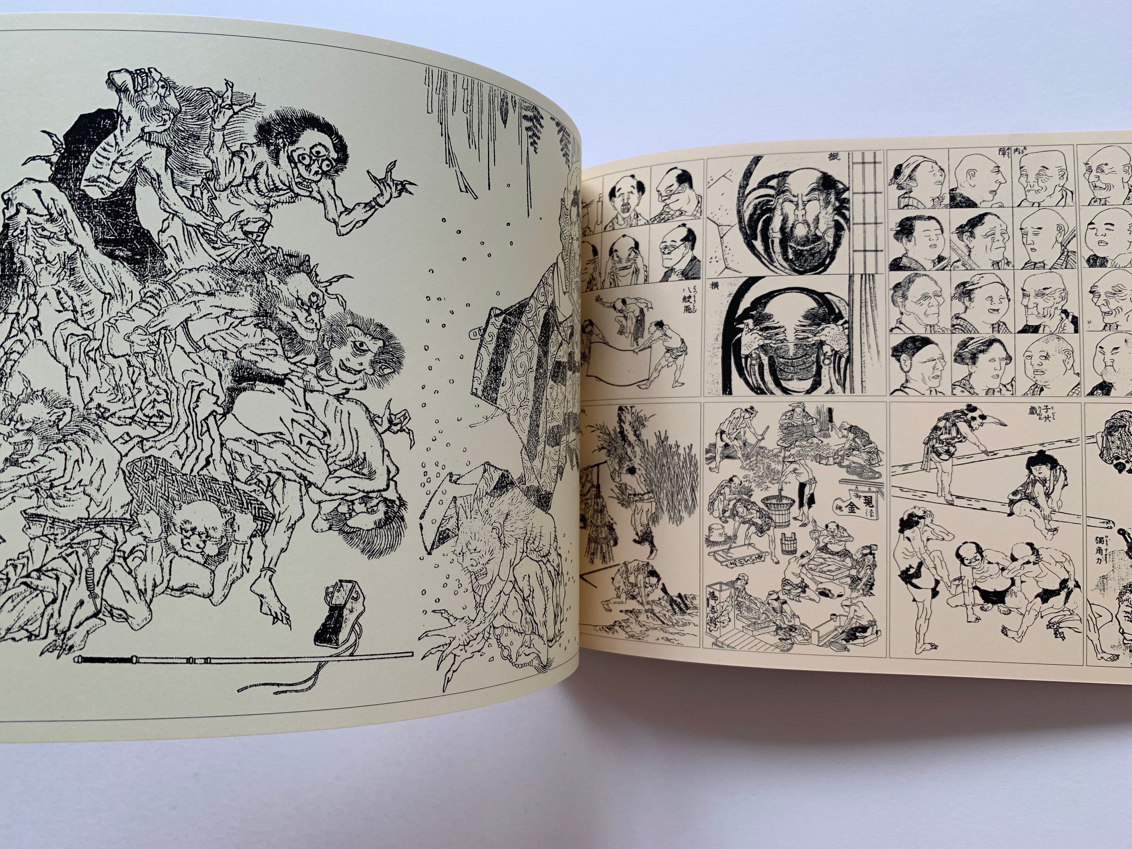 Set 2 Books/ HOKUSAI MANGA & 100 VIEWS OF Mt. FUJI