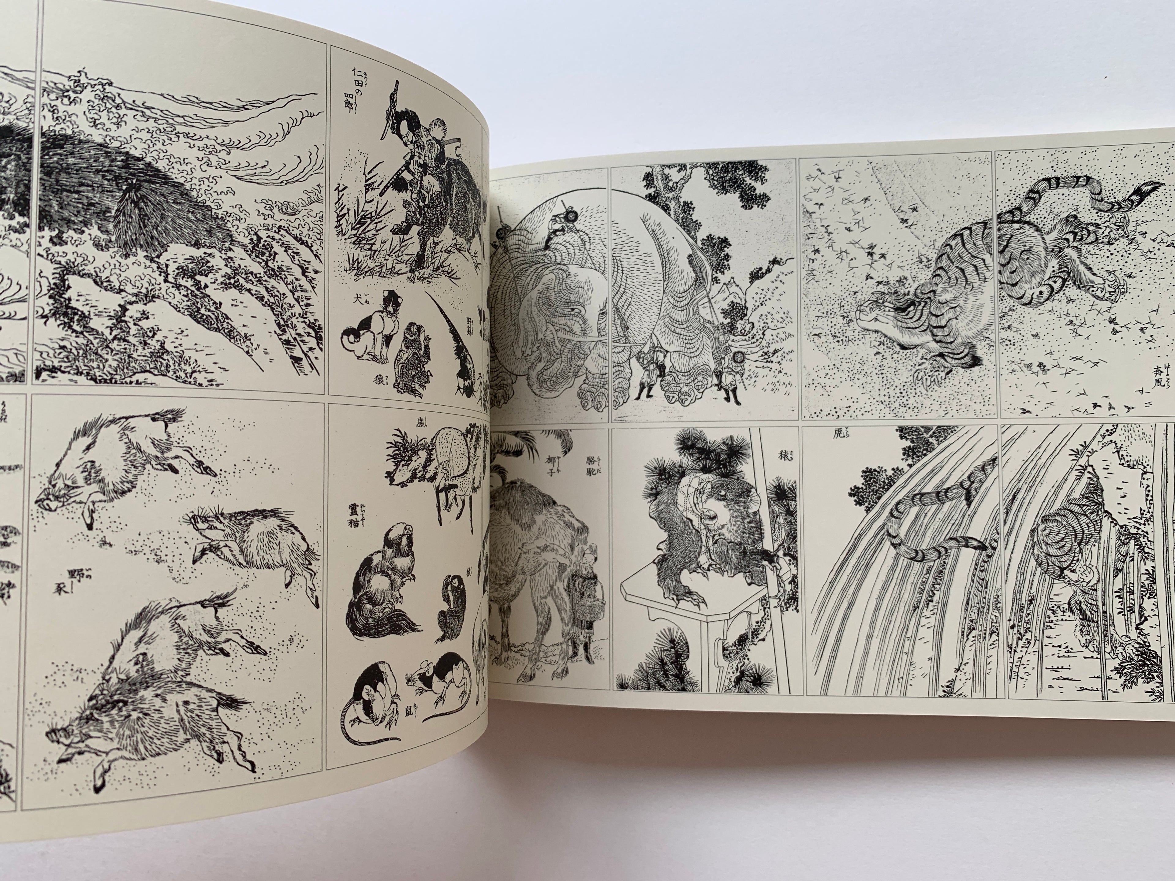 HOKUSAI MANGA