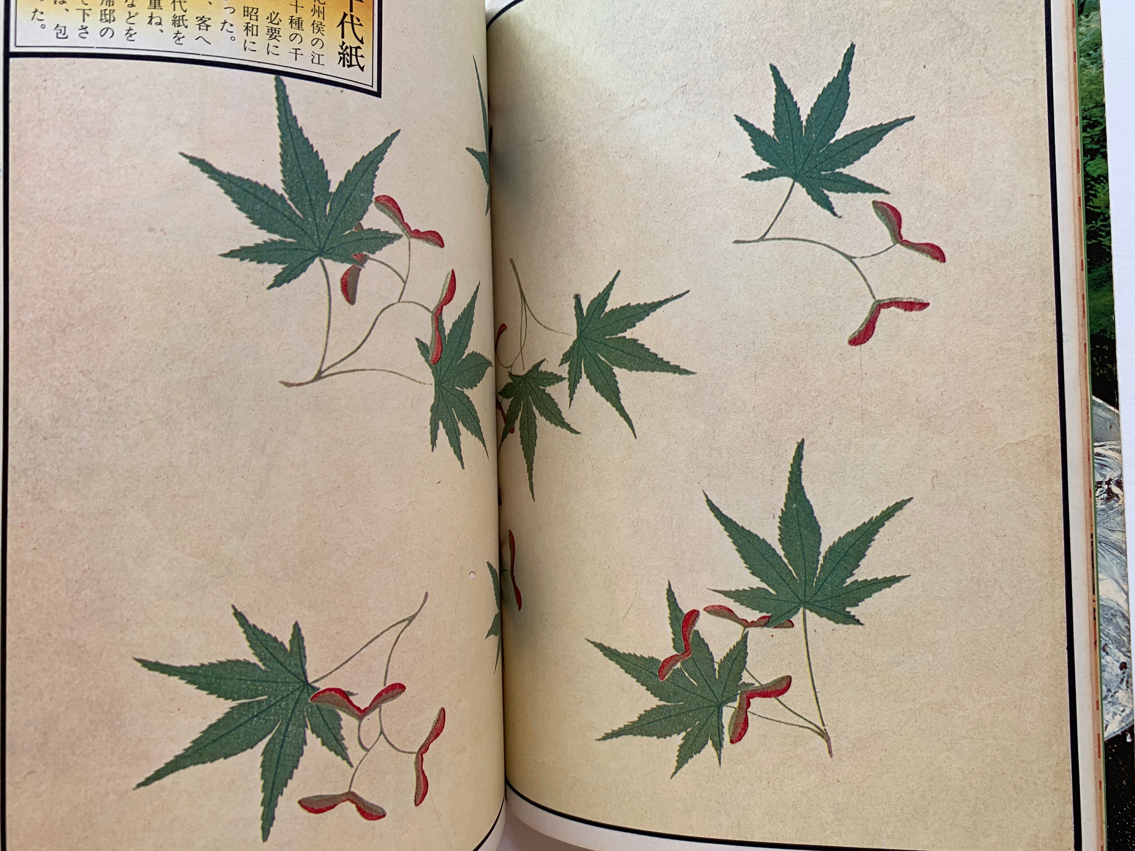 Quarterly Ginka / number 18 of 1974.