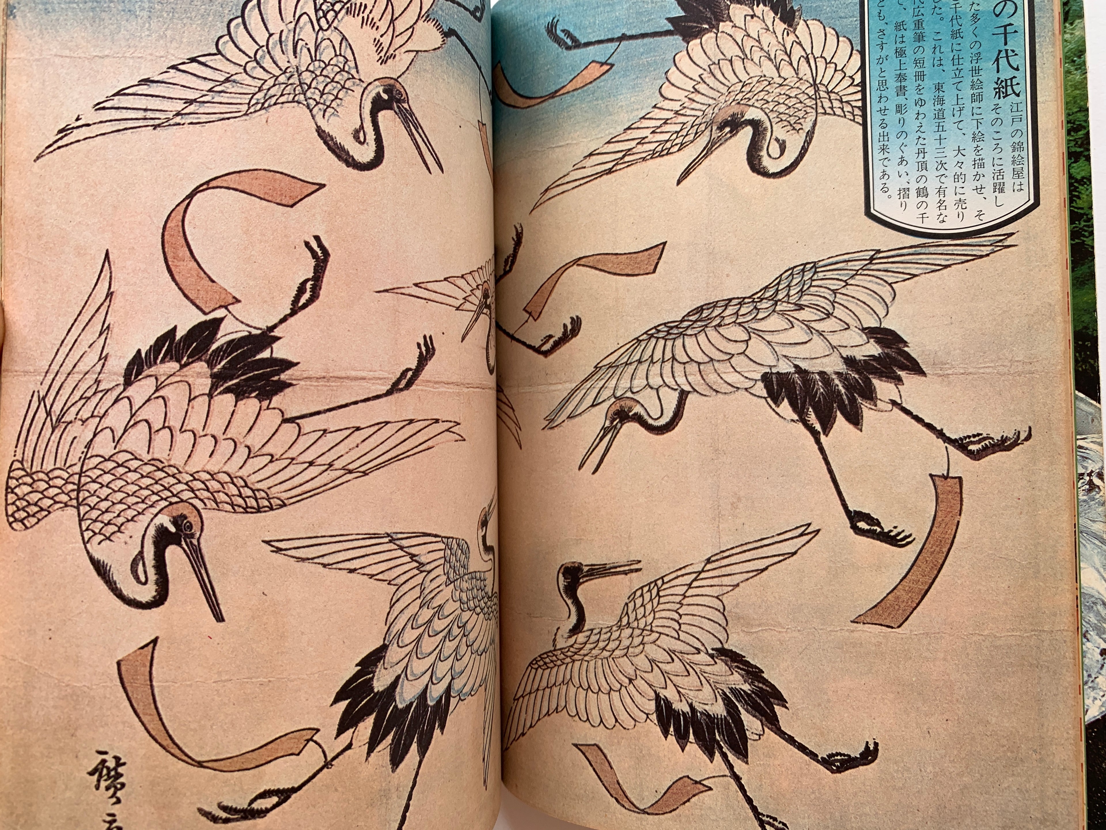 Quarterly Ginka / number 18 of 1974.