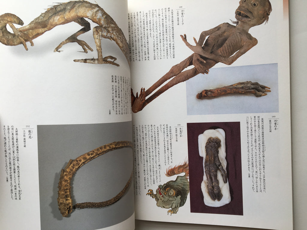 Catalog: "To explore Fear and Longing"