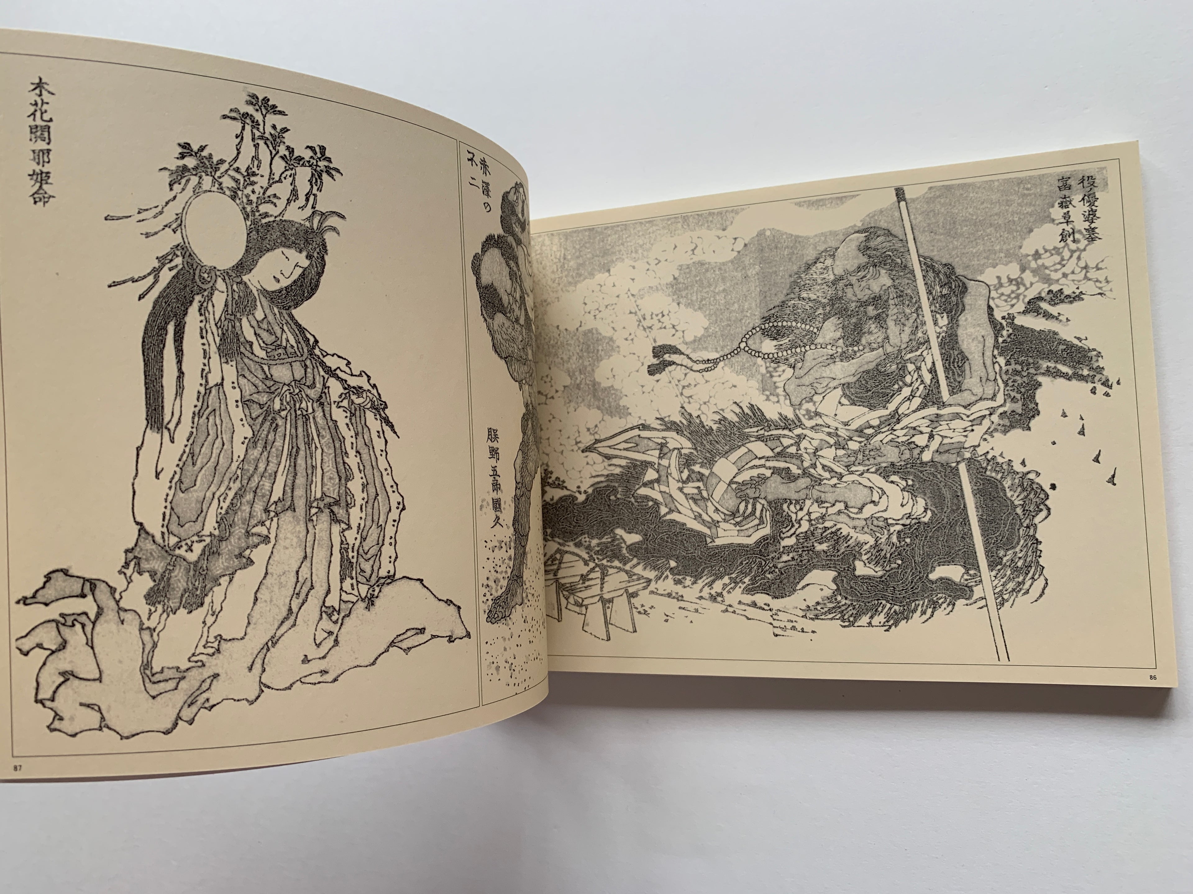 Set 2 Books/ HOKUSAI MANGA & 100 VIEWS OF Mt. FUJI