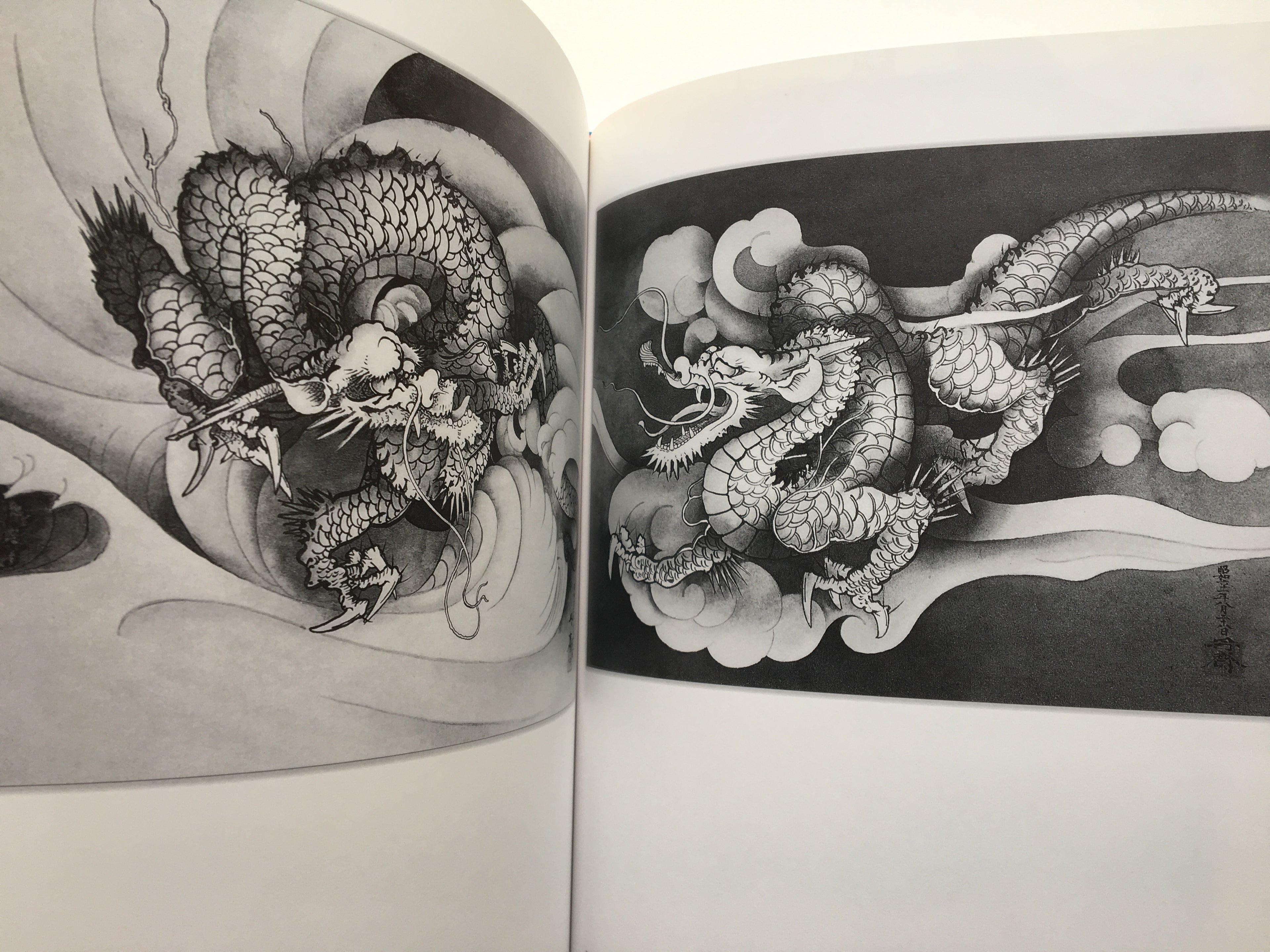 100 Dragons of Tansai