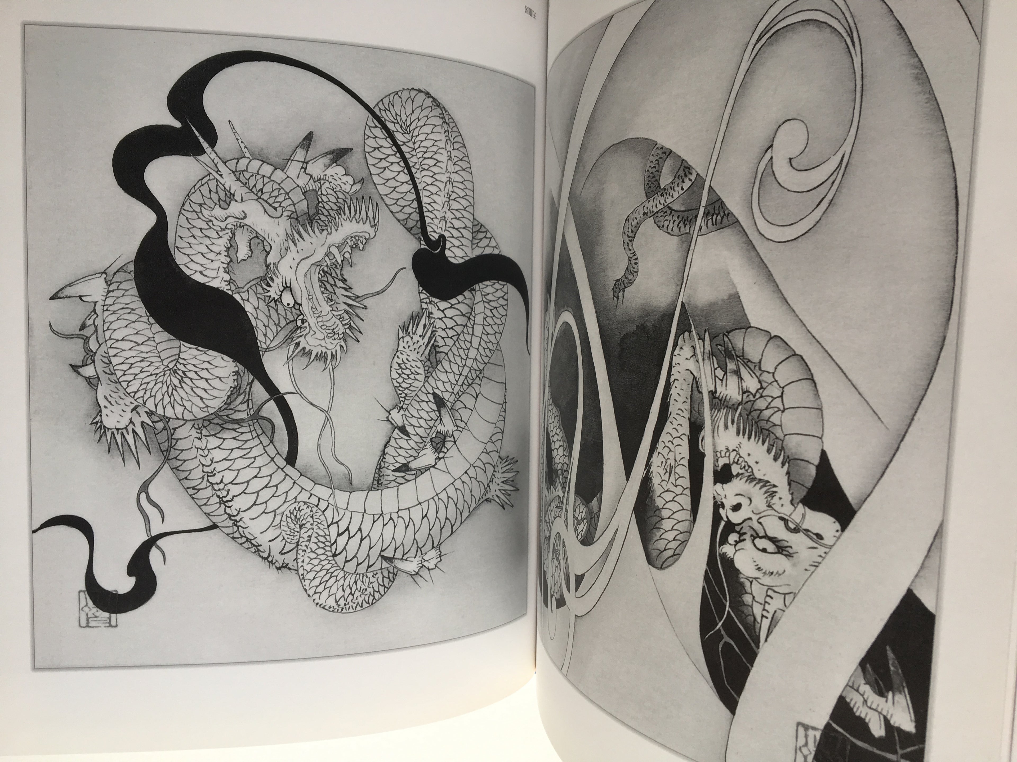 100 Dragons of Tansai