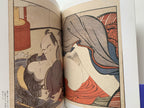 Shunga II - Hundreds of colored patterns