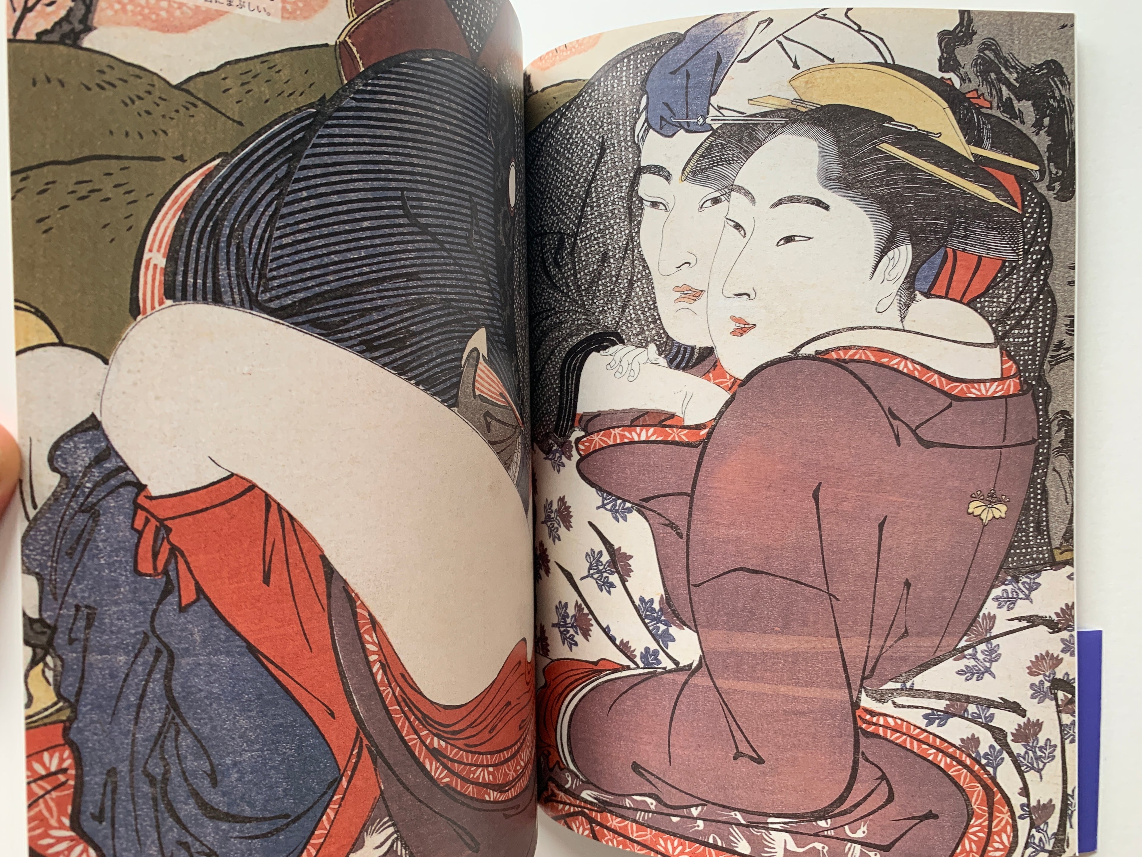 Shunga II - Hundreds of colored patterns