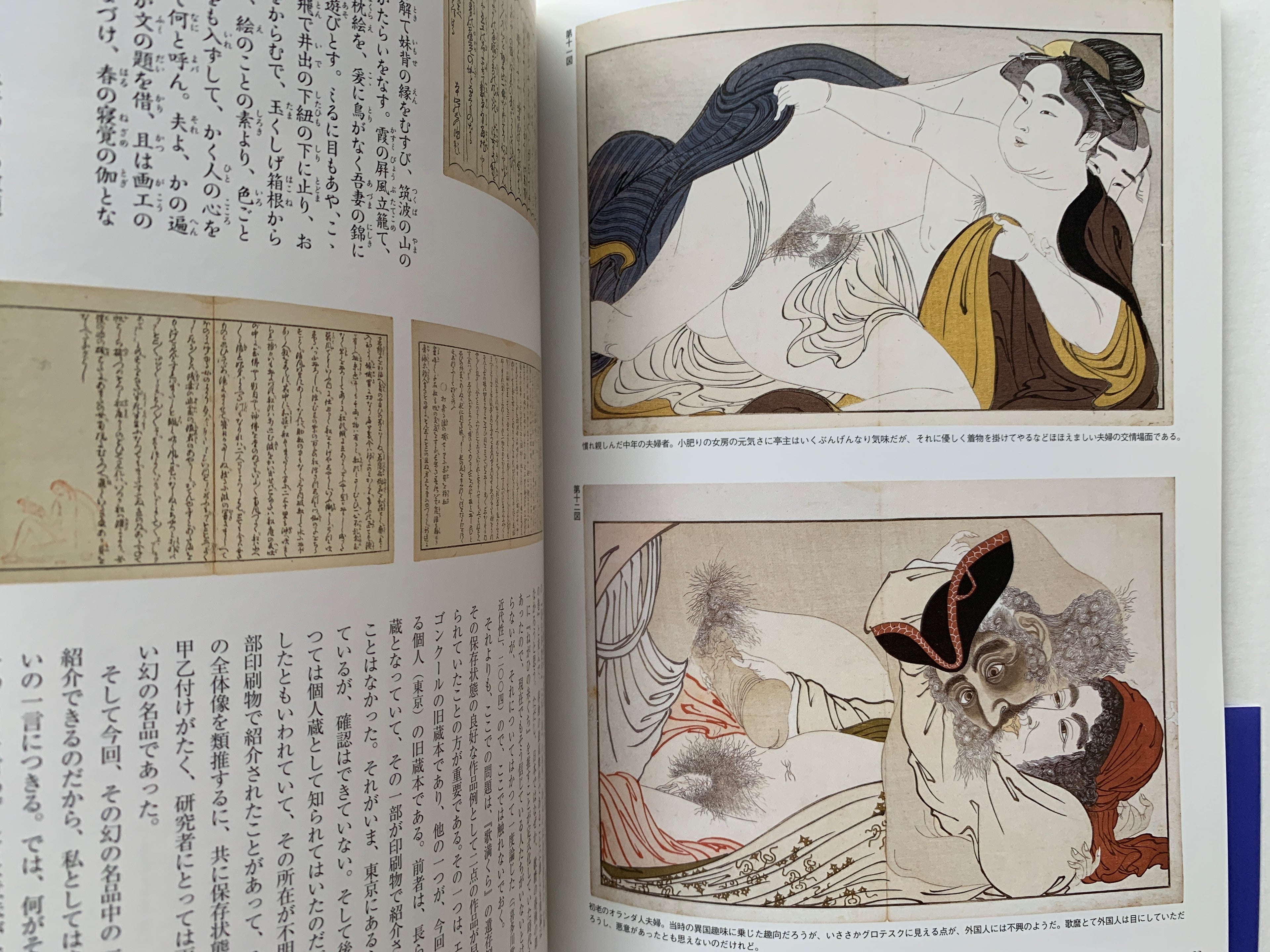 Shunga II - Hundreds of colored patterns