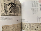 Shunga II - Hundreds of colored patterns