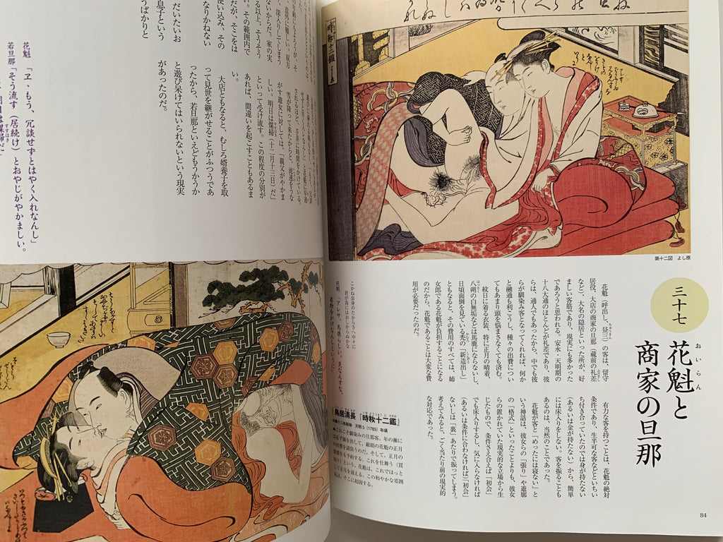 Shunga II - Hundreds of colored patterns