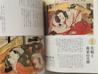 Shunga II - Hundreds of colored patterns