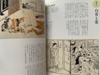 Shunga II - Hundreds of colored patterns