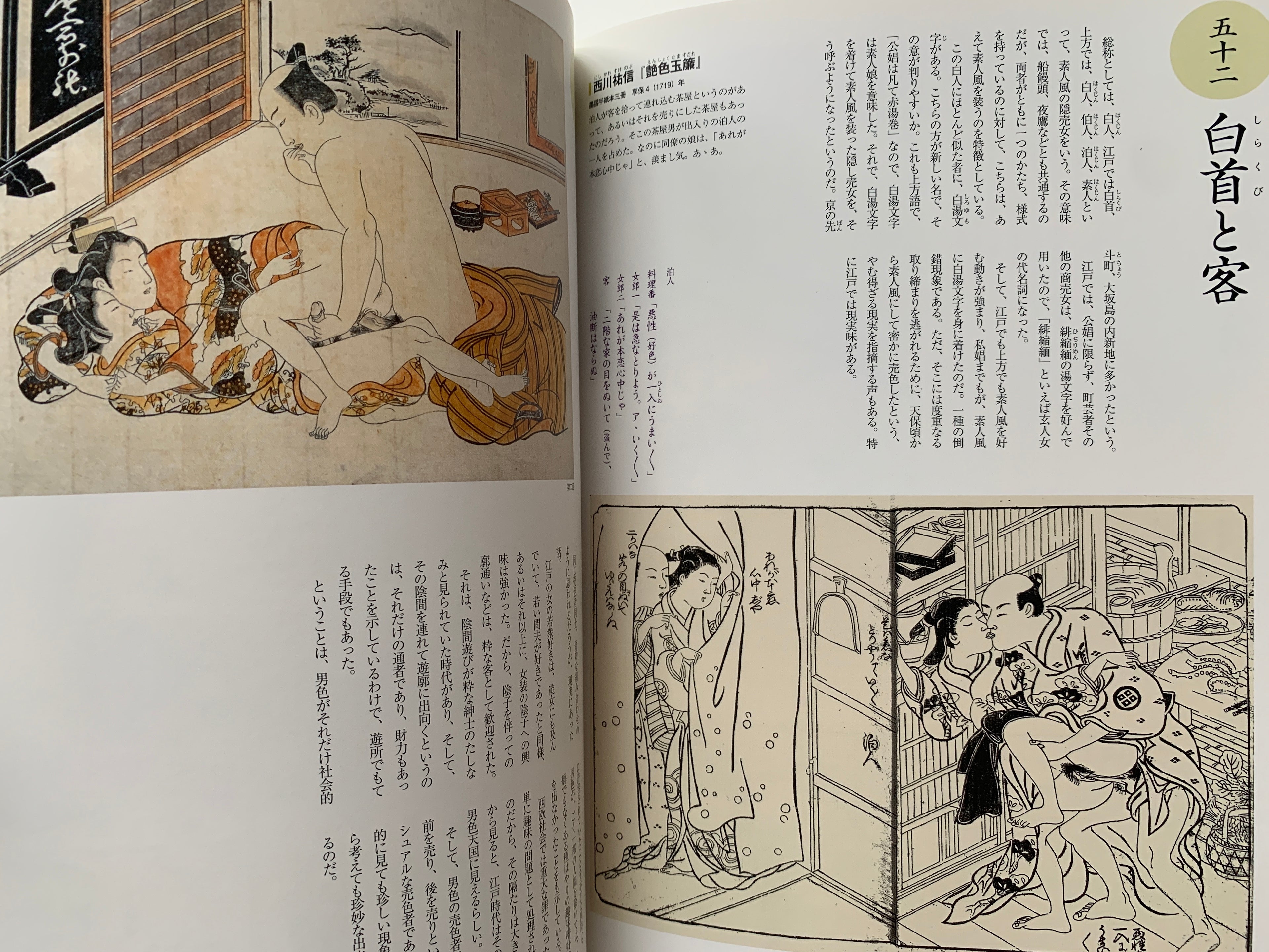 Shunga II - Hundreds of colored patterns