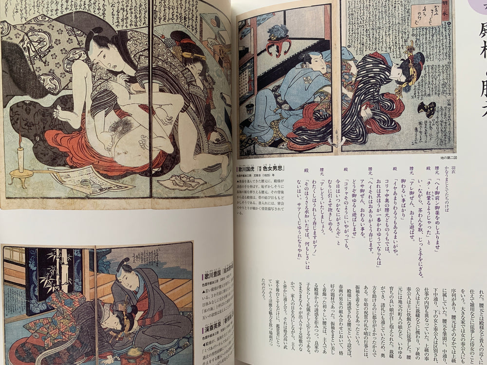 Shunga II - Hundreds of colored patterns