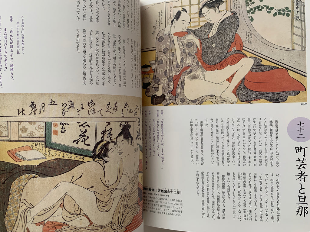 Shunga II - Hundreds of colored patterns