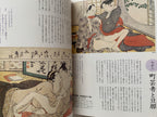 Shunga II - Hundreds of colored patterns