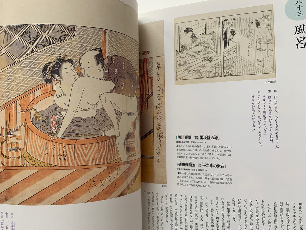 Shunga II - Hundreds of colored patterns