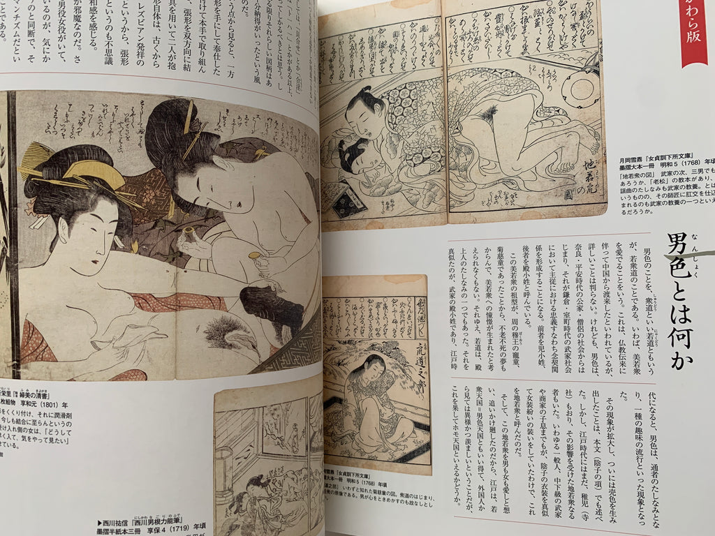Shunga II - Hundreds of colored patterns