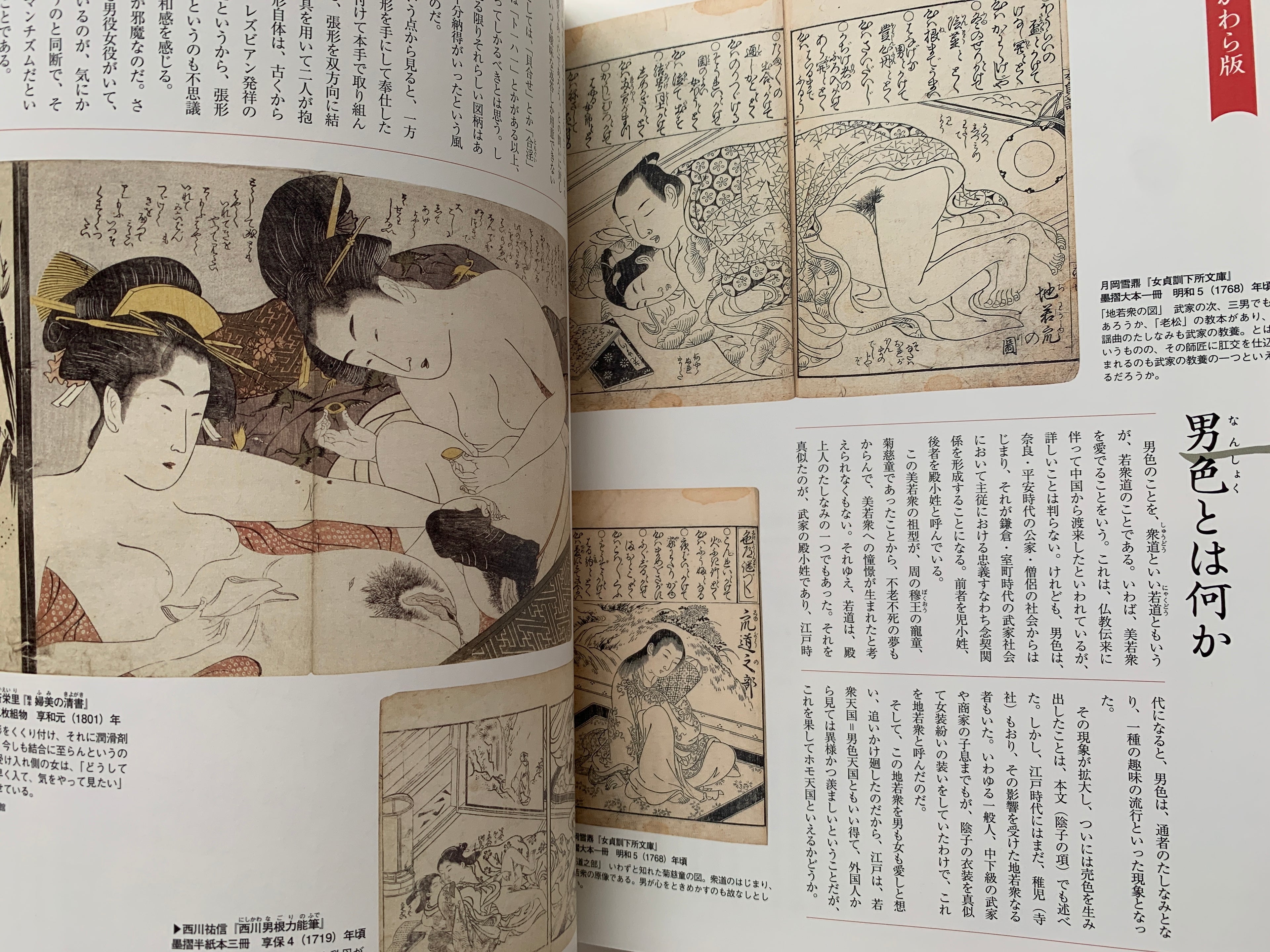 Shunga II - Hundreds of colored patterns
