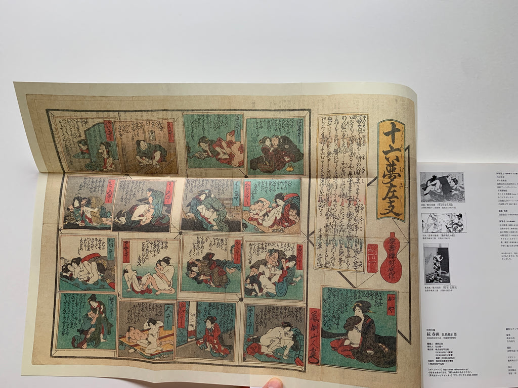 Shunga II - Hundreds of colored patterns