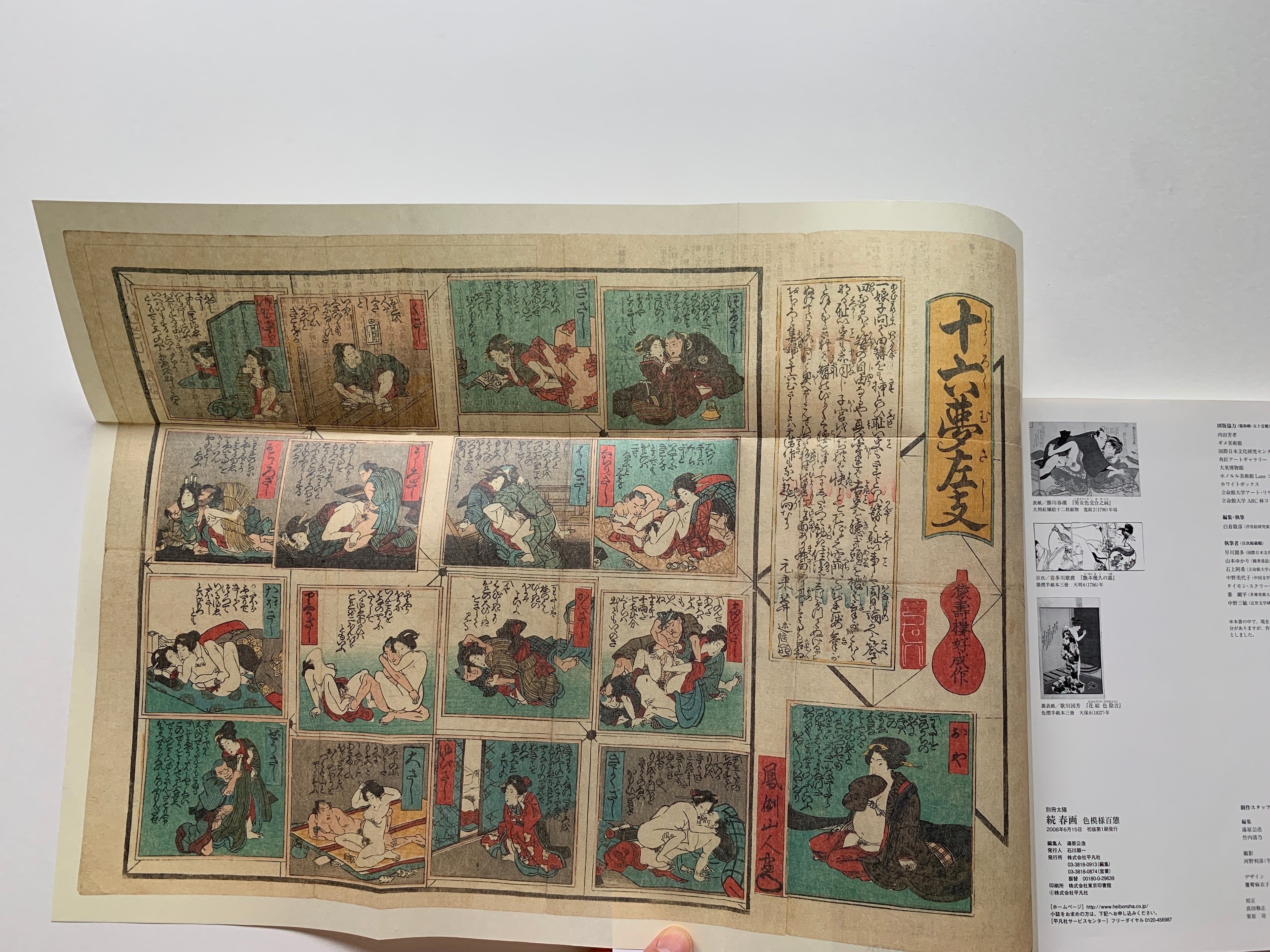 Shunga II - Hundreds of colored patterns