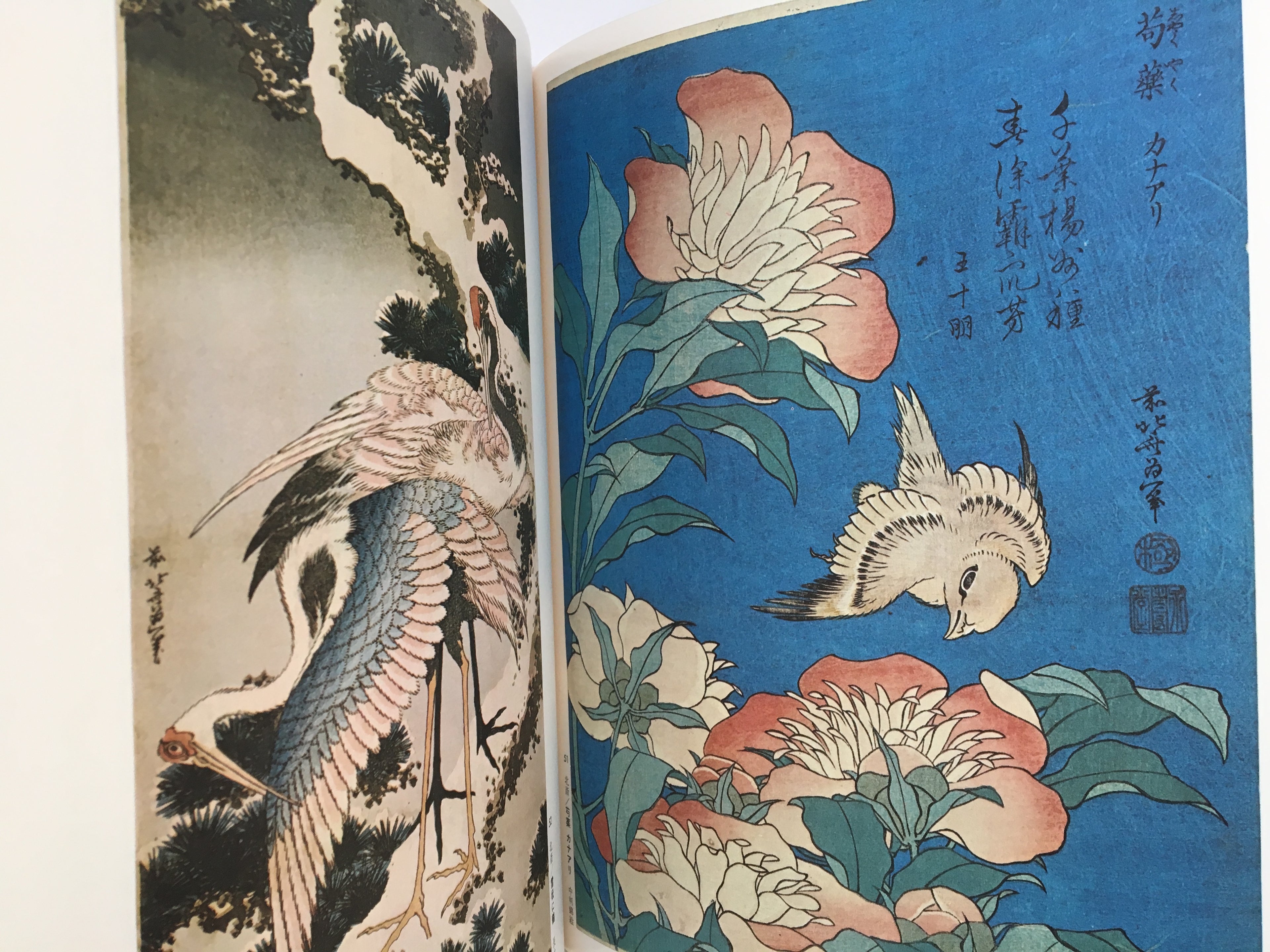 Ukiyo-e Taikei: A Survey of Japanese Prints, Volume 8 / HOKUSAI