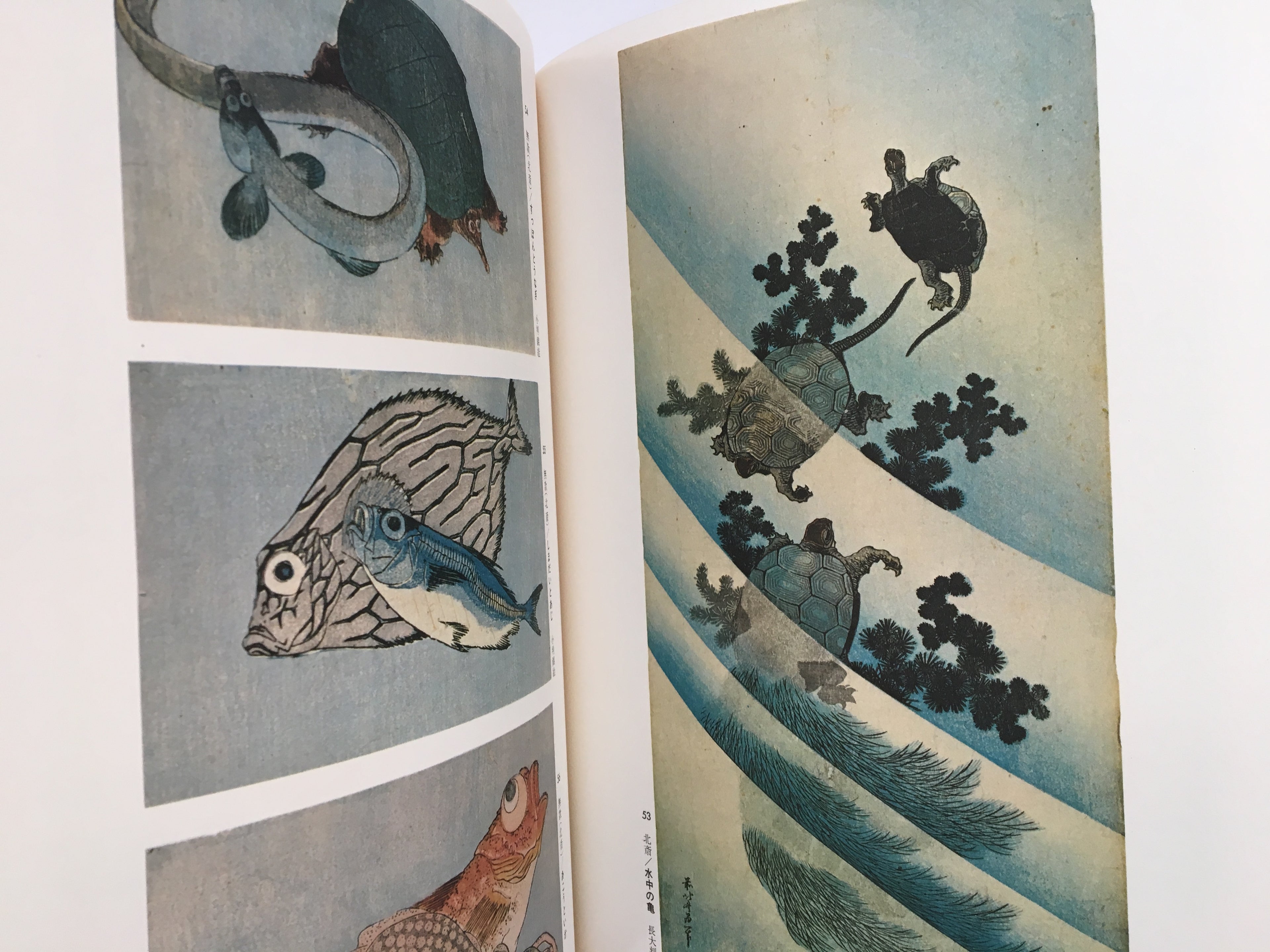 Ukiyo-e Taikei: A Survey of Japanese Prints, Volume 8 / HOKUSAI