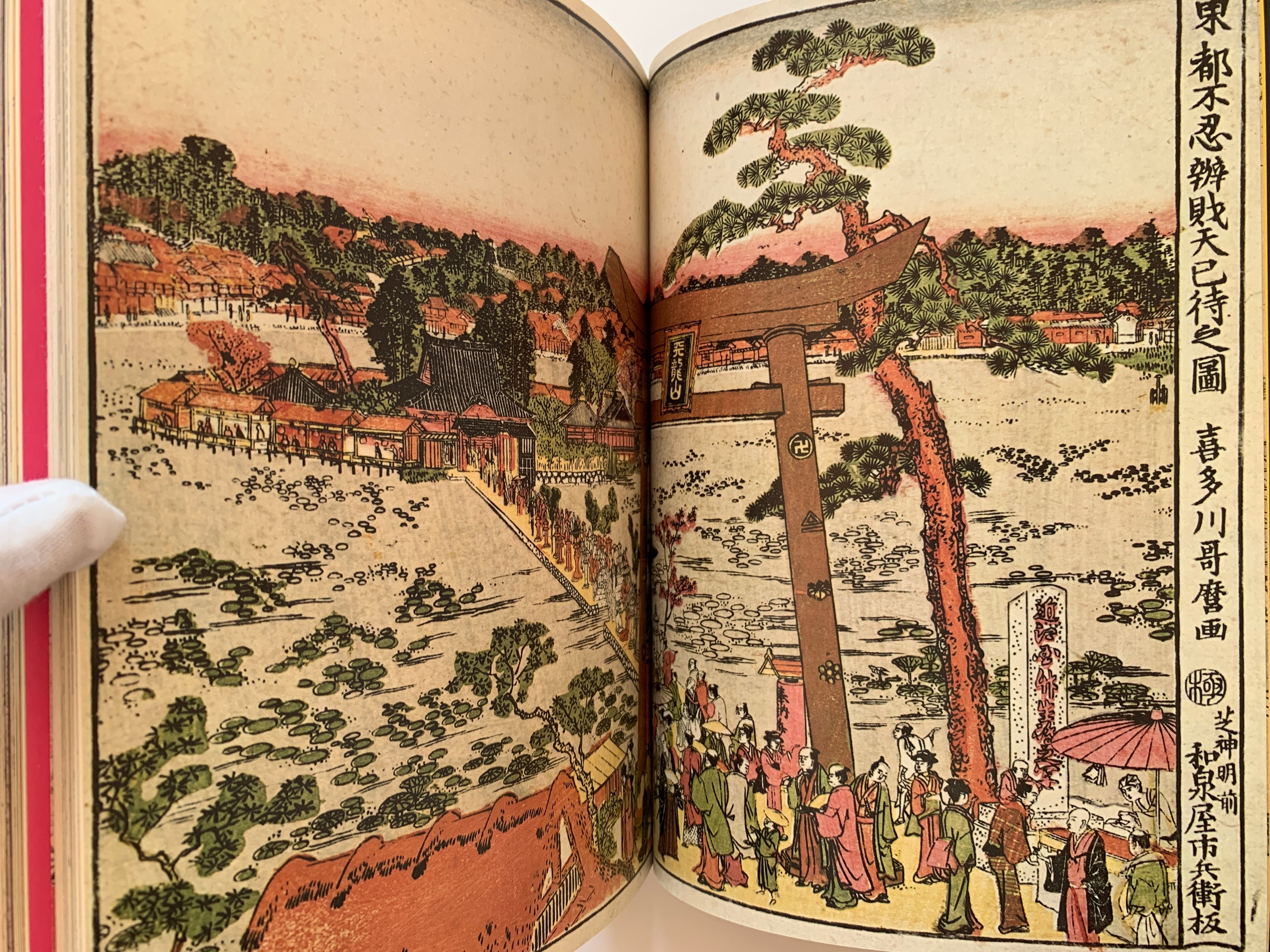 THE SUN - Special Issue De Luxe Edition: UTAMARO