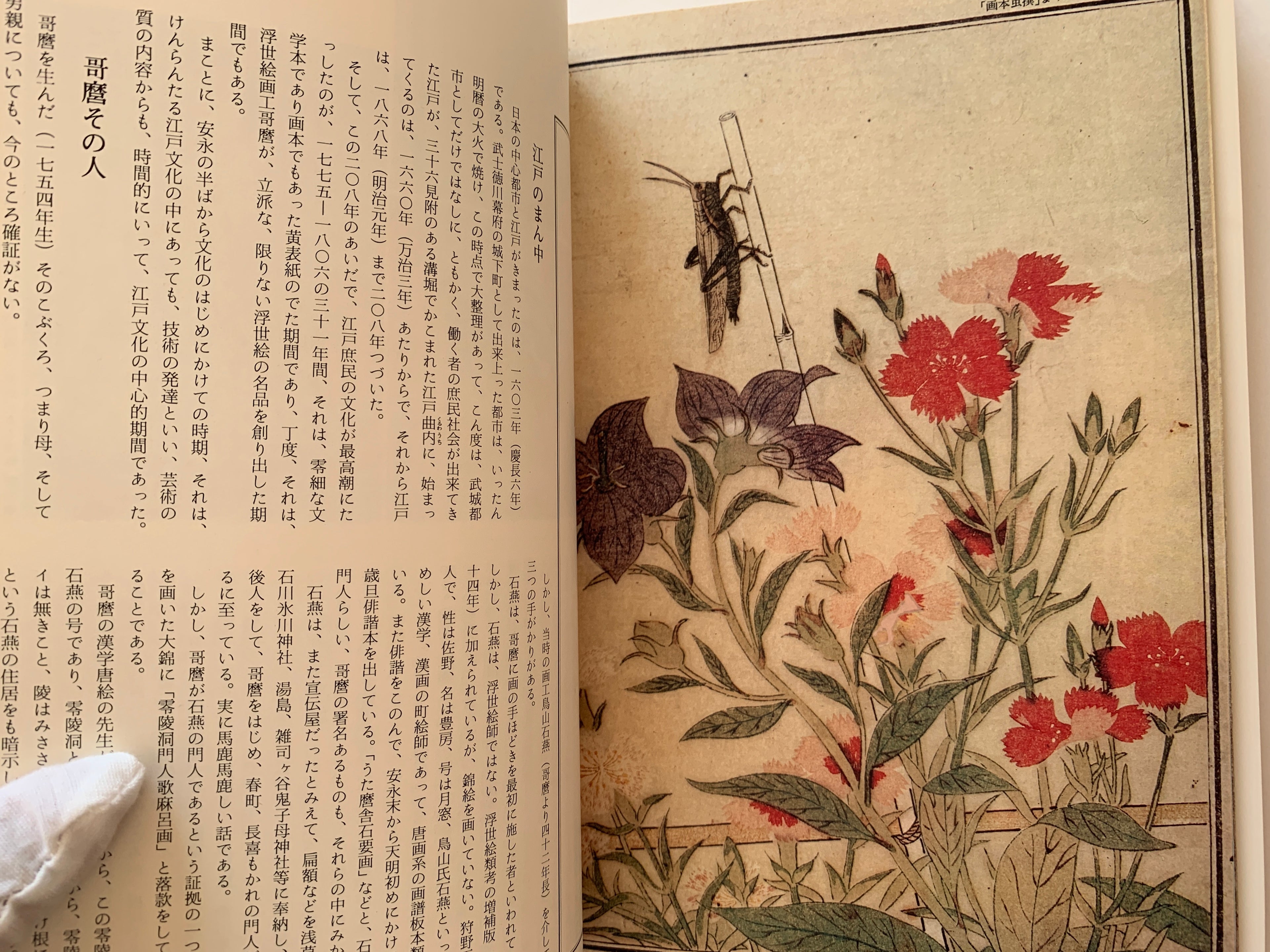 THE SUN - Special Issue De Luxe Edition: UTAMARO