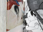 SHUNGA - Japanese Erotic Art