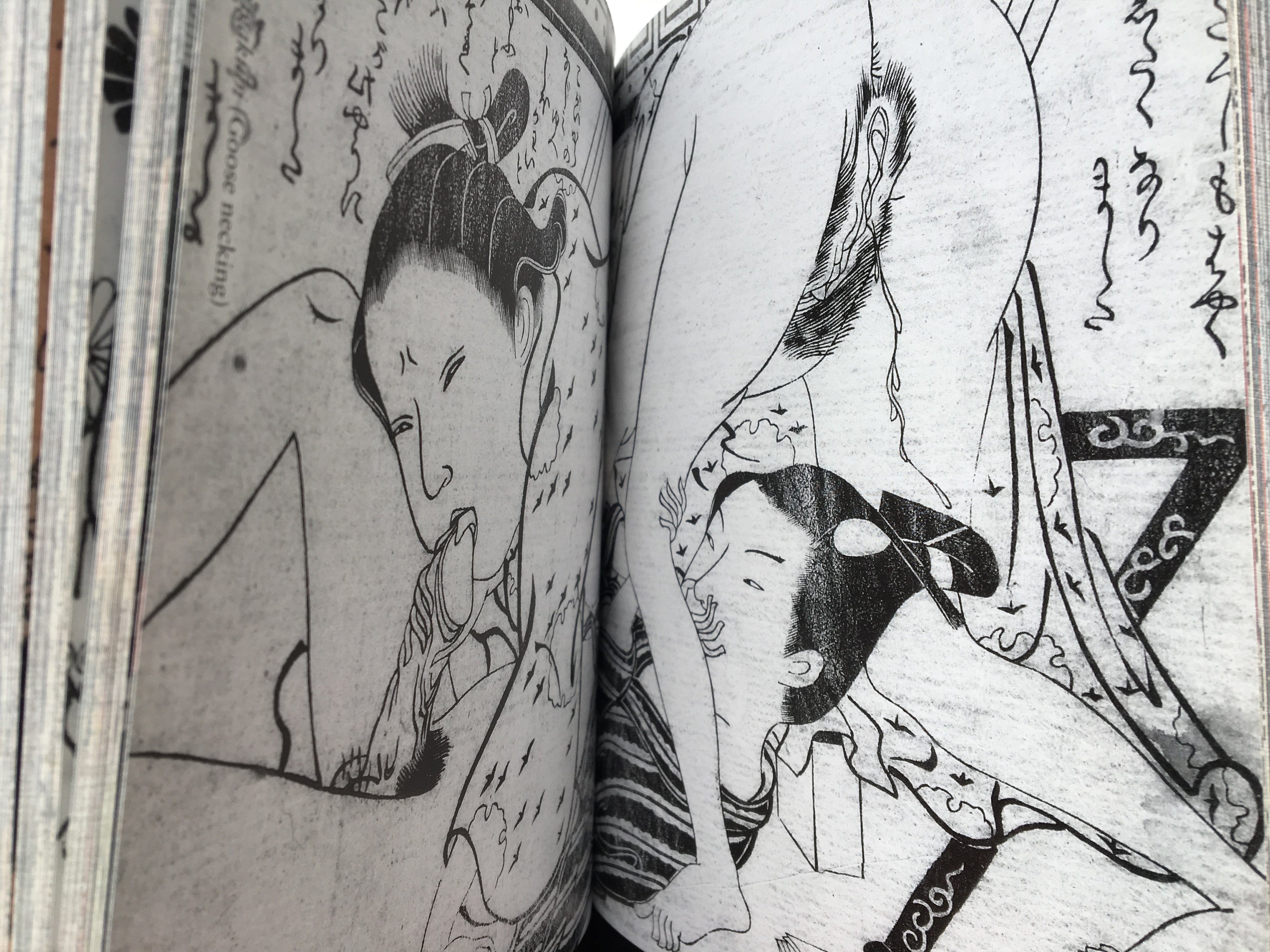 SHUNGA - Japanese Erotic Art