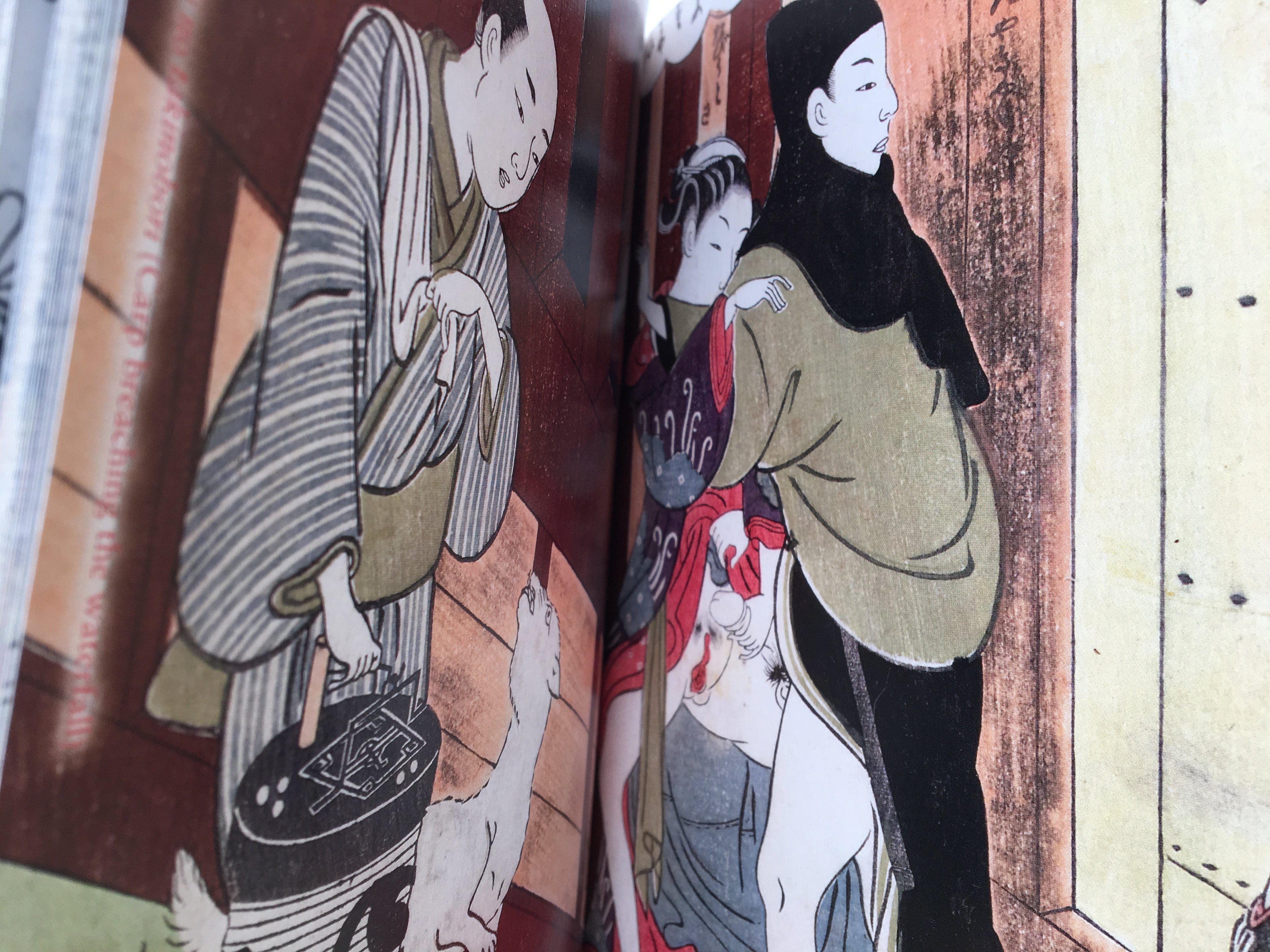 SHUNGA - Japanese Erotic Art