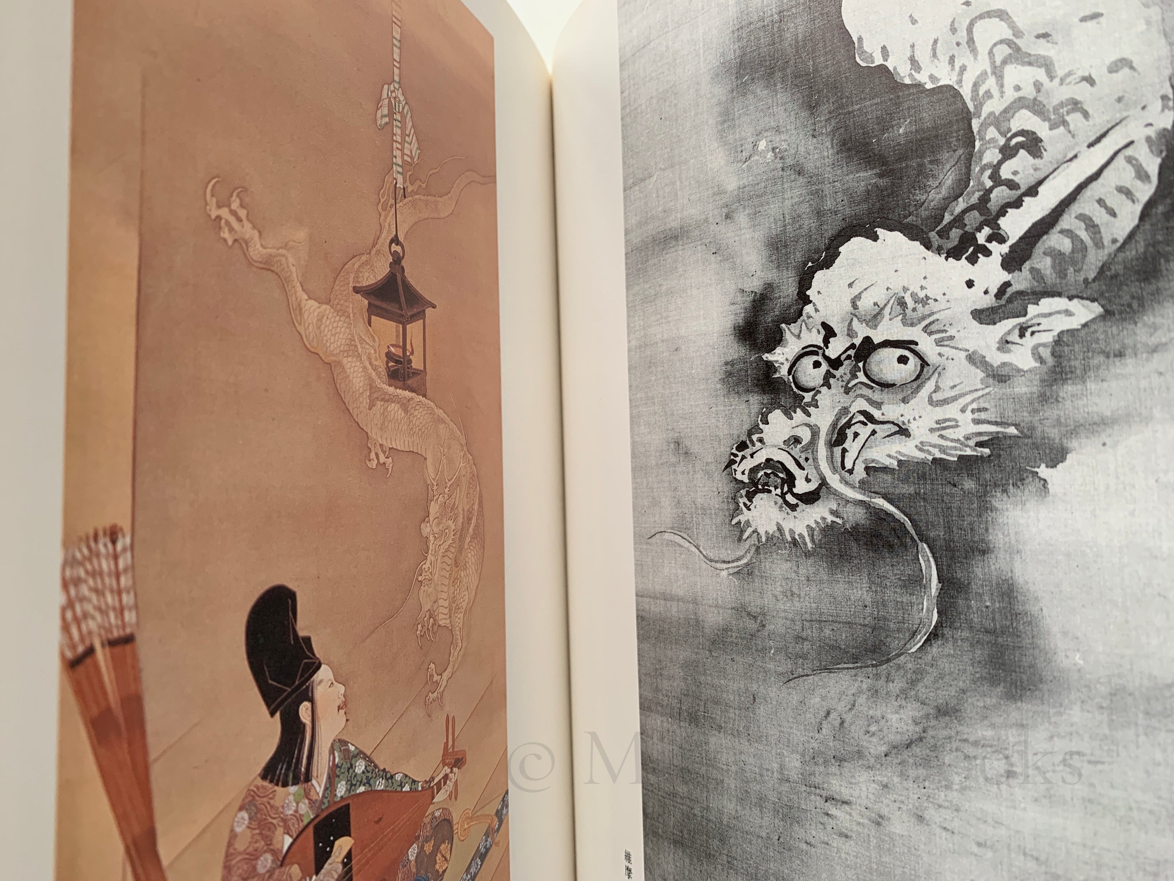 100 States of Dragon