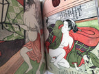 SHUNGA - Japanese Erotic Art