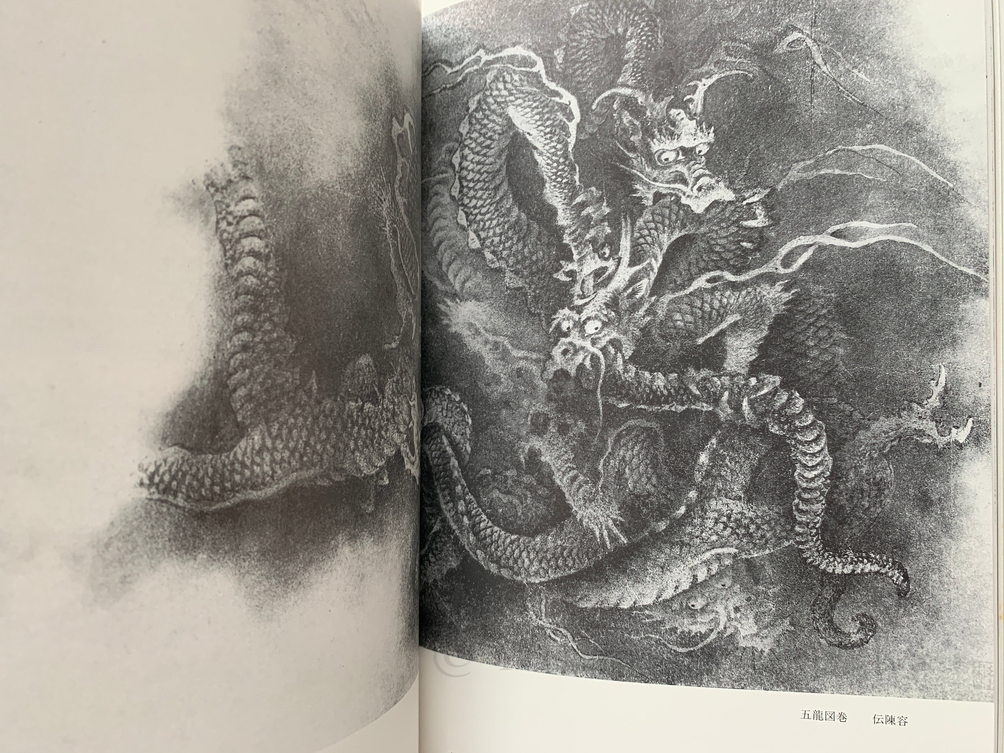 100 States of Dragon