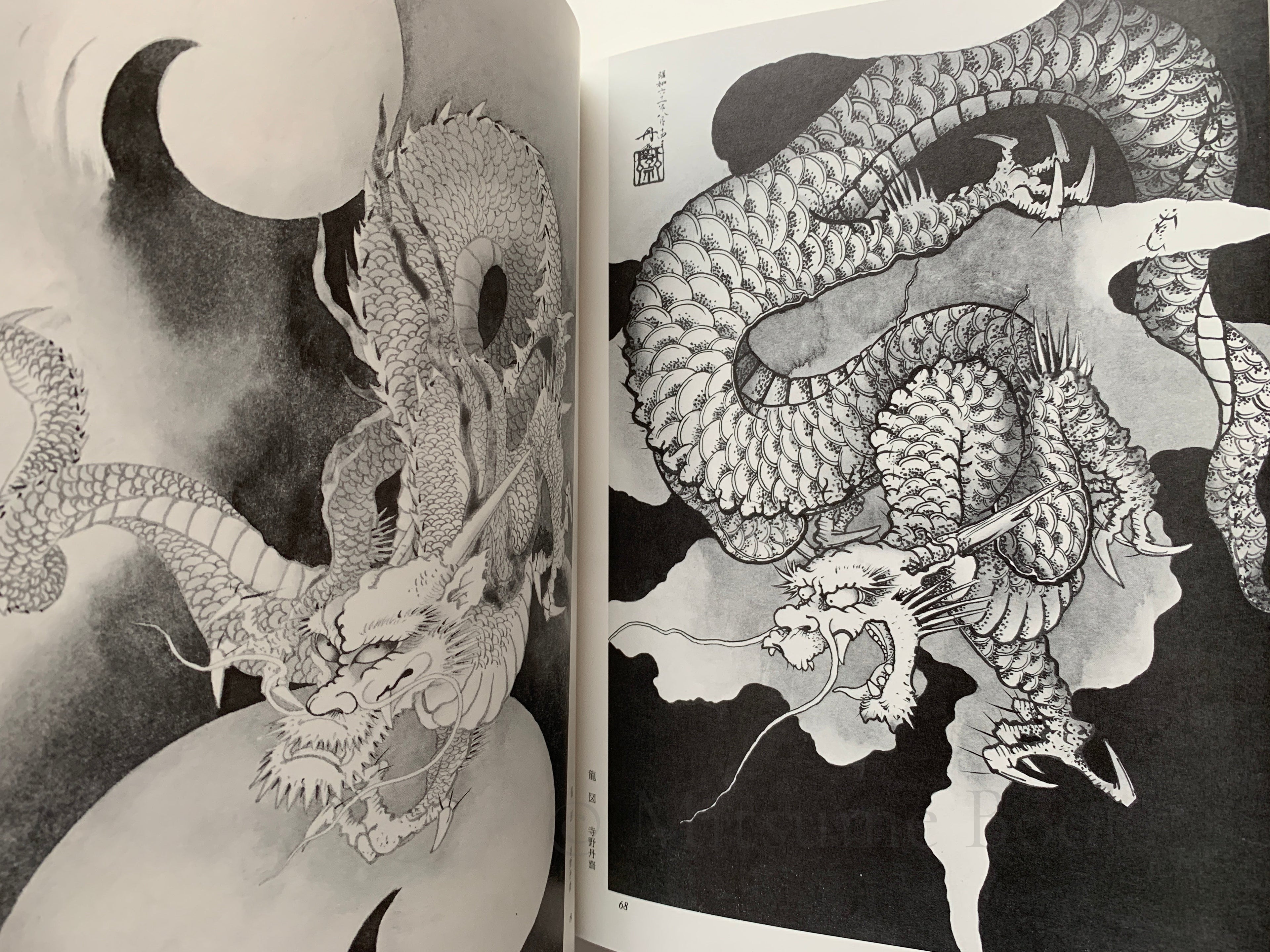 100 States of Dragon