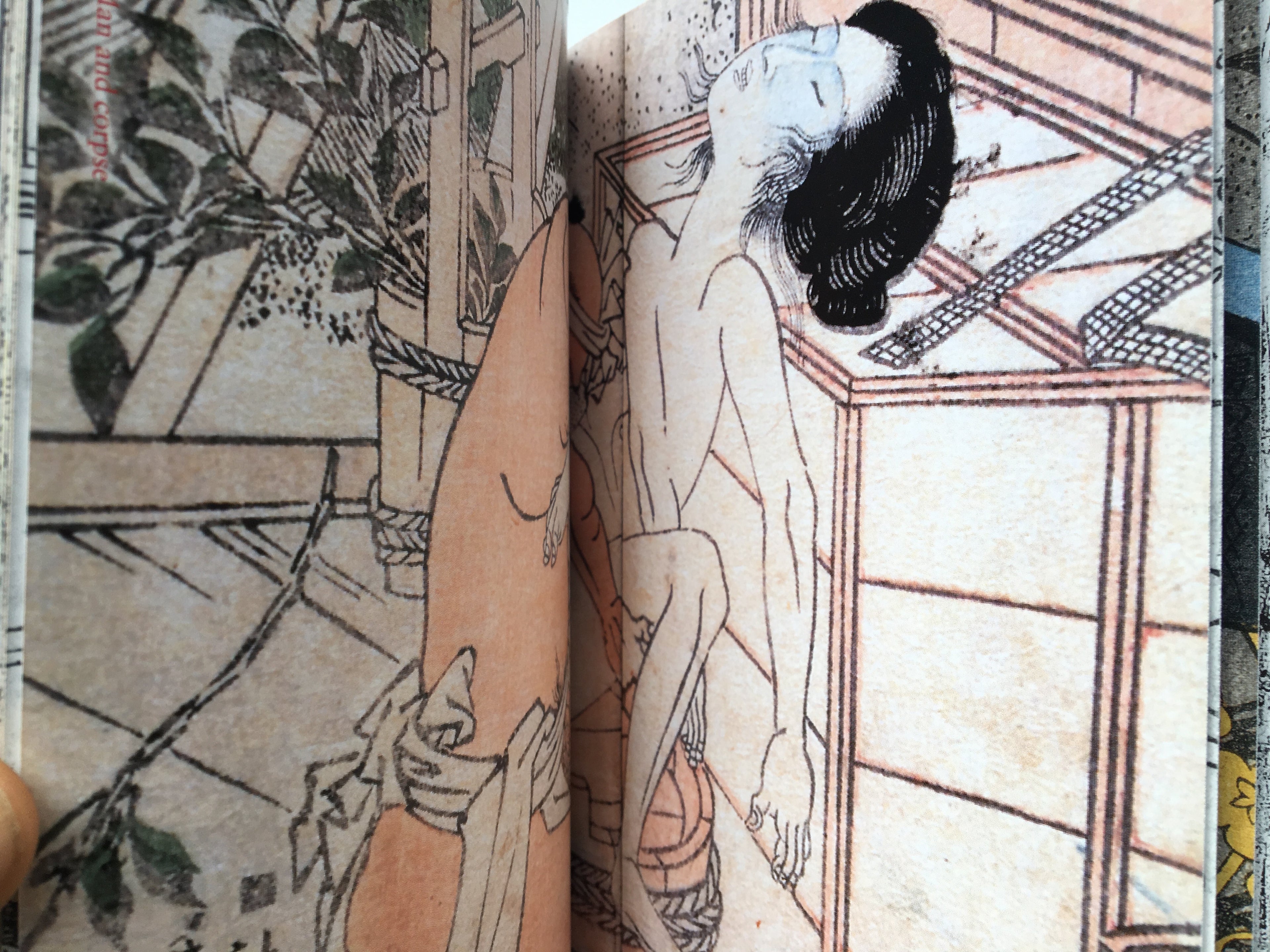 SHUNGA - Japanese Erotic Art