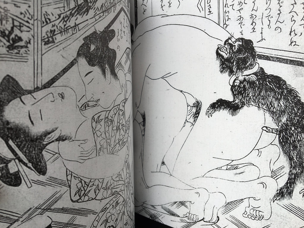 SHUNGA - Japanese Erotic Art