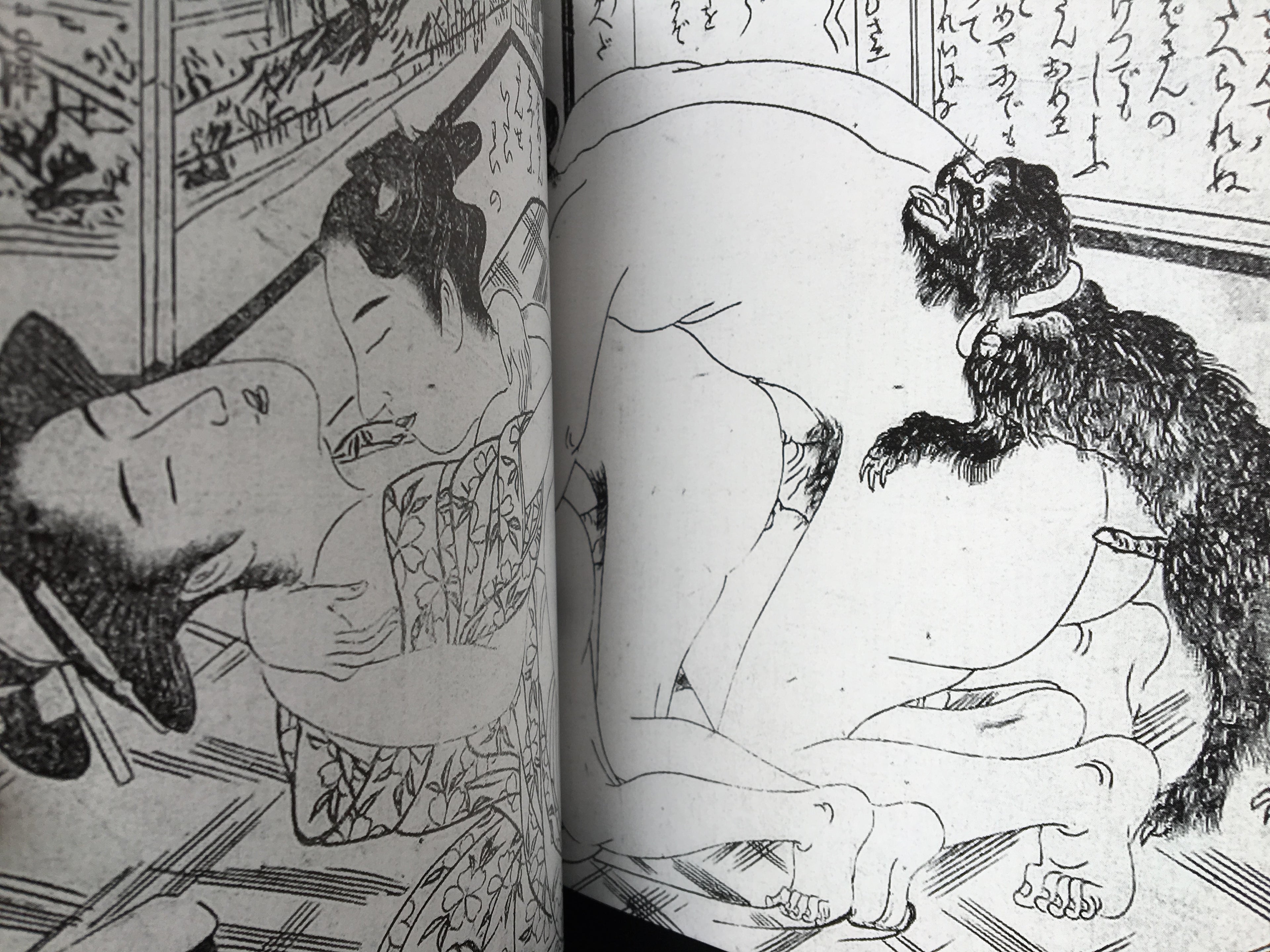 SHUNGA - Japanese Erotic Art