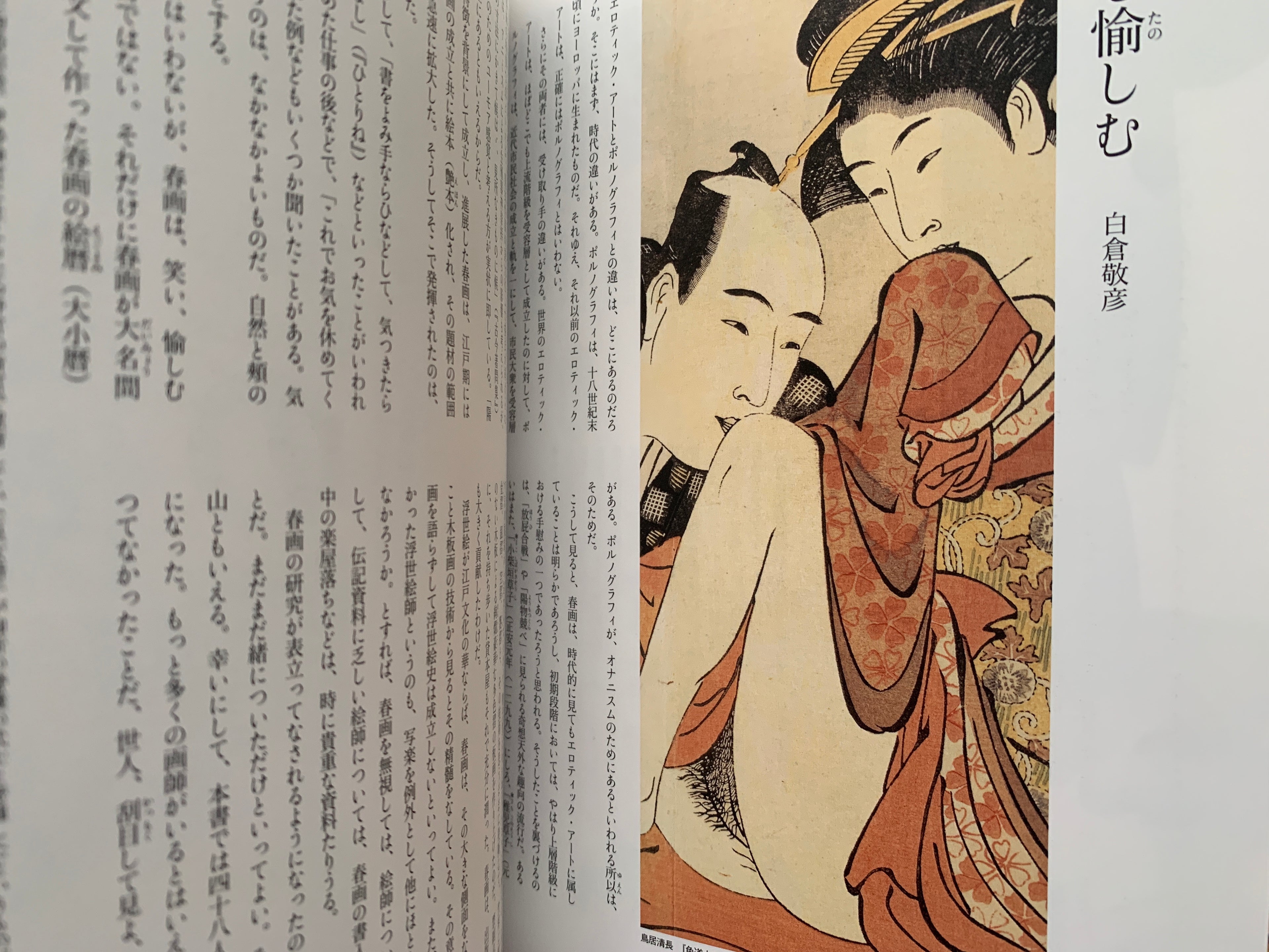 mini SHUNGA & mini SHUNGA II