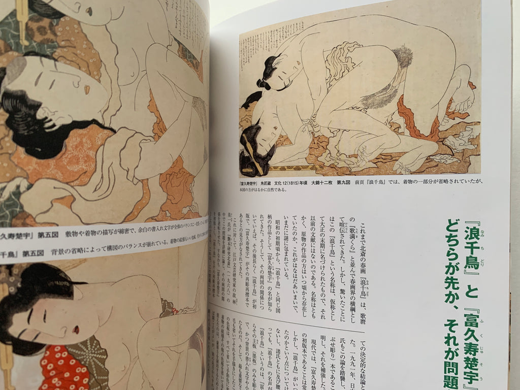 mini SHUNGA & mini SHUNGA II