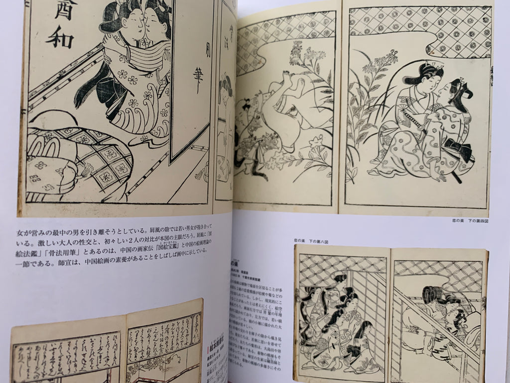 mini SHUNGA & mini SHUNGA II