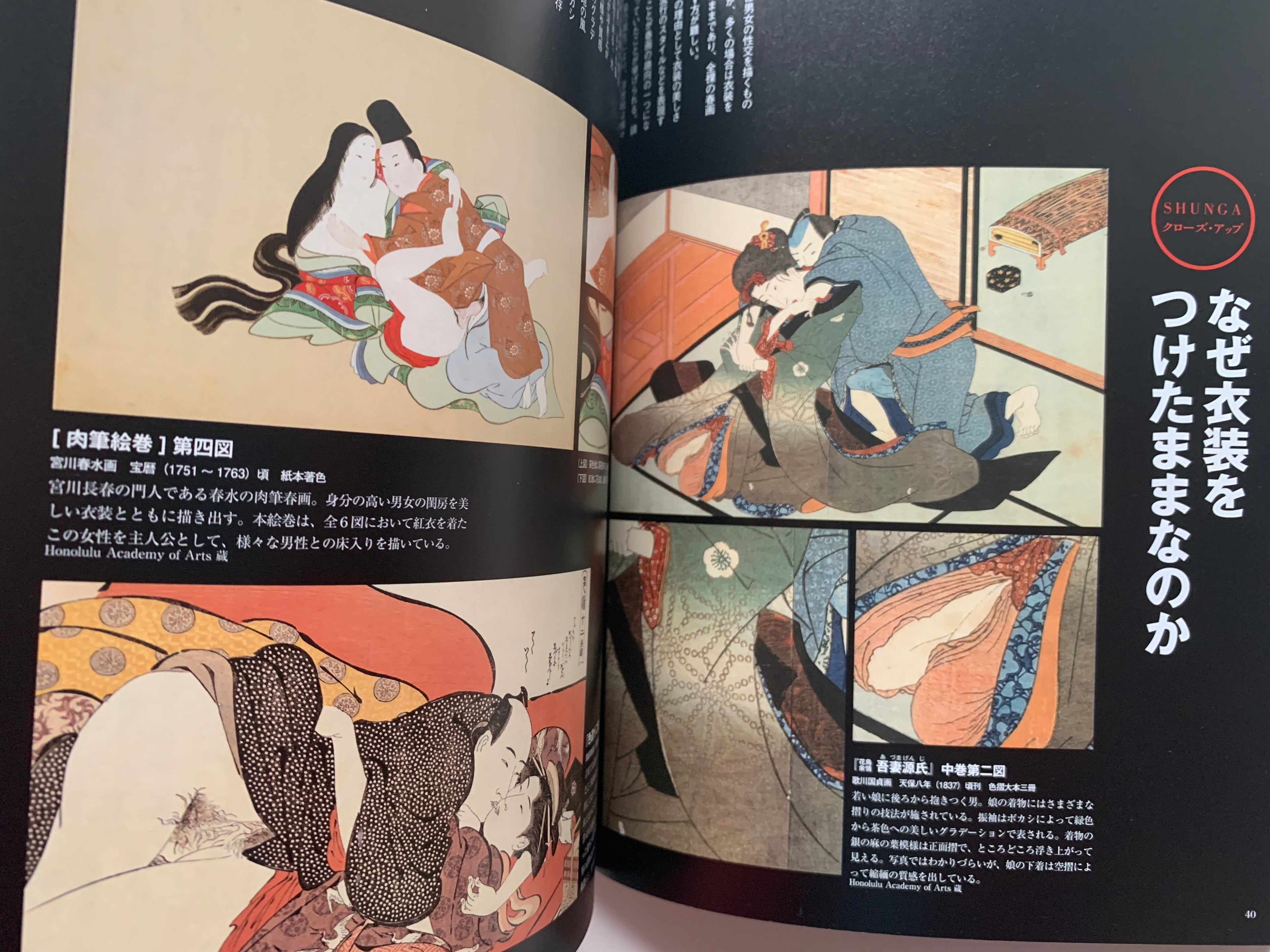 mini SHUNGA & mini SHUNGA II