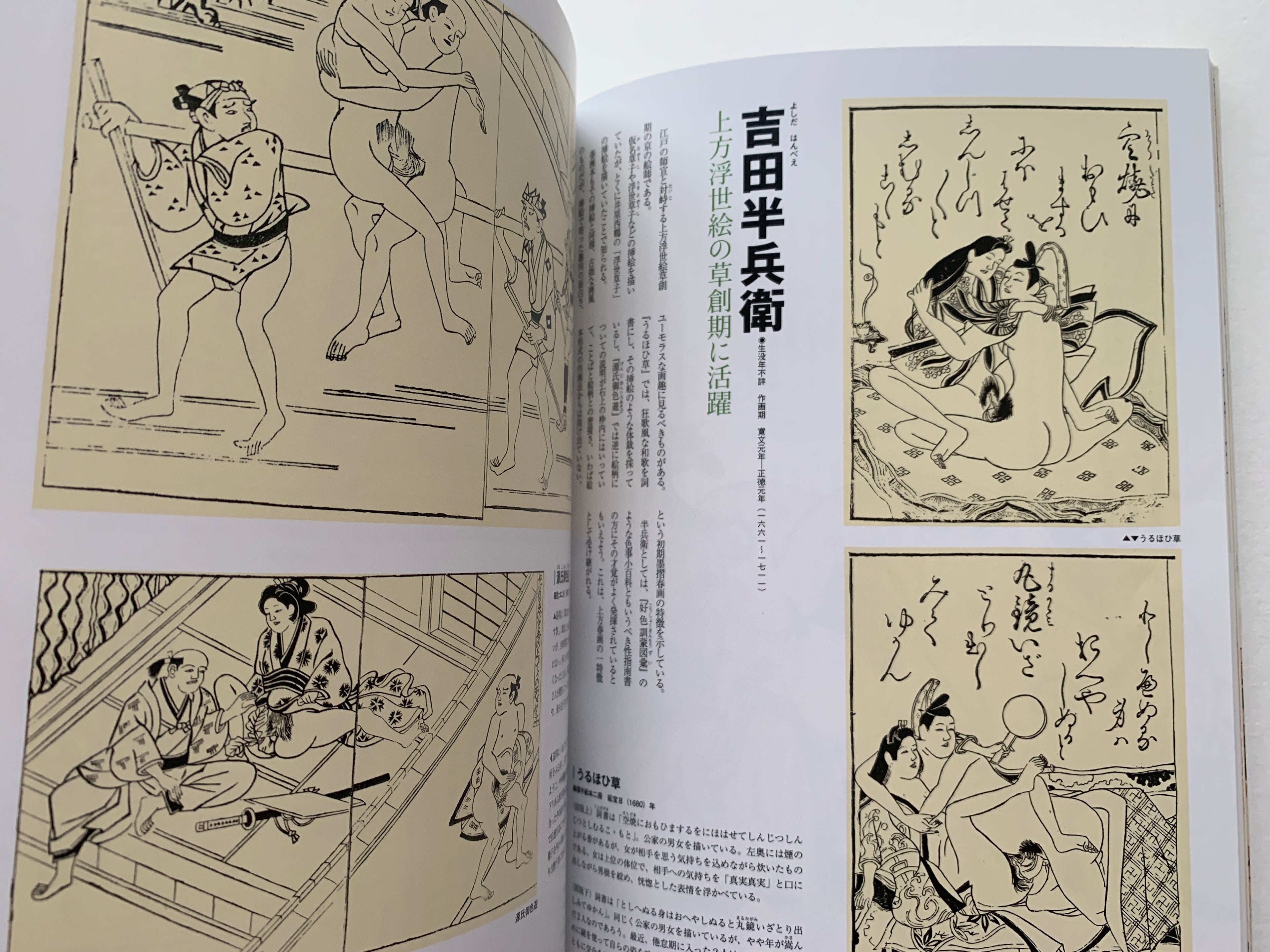 mini SHUNGA & mini SHUNGA II