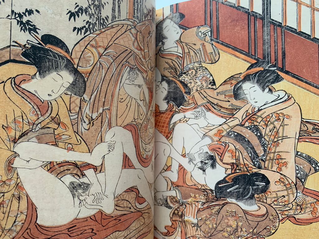 mini SHUNGA & mini SHUNGA II