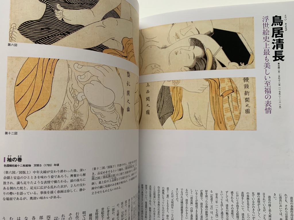 mini SHUNGA & mini SHUNGA II