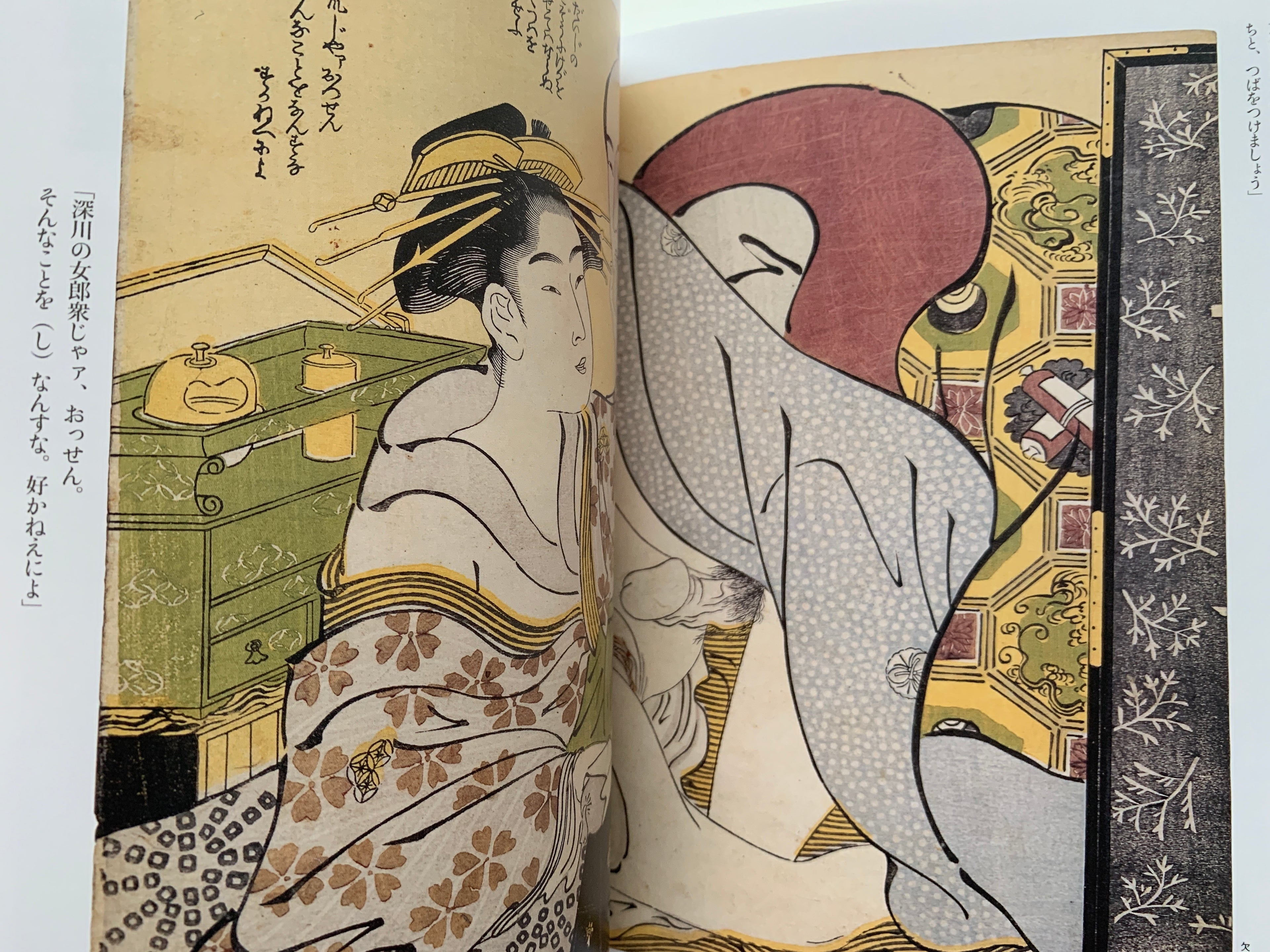 mini SHUNGA & mini SHUNGA II