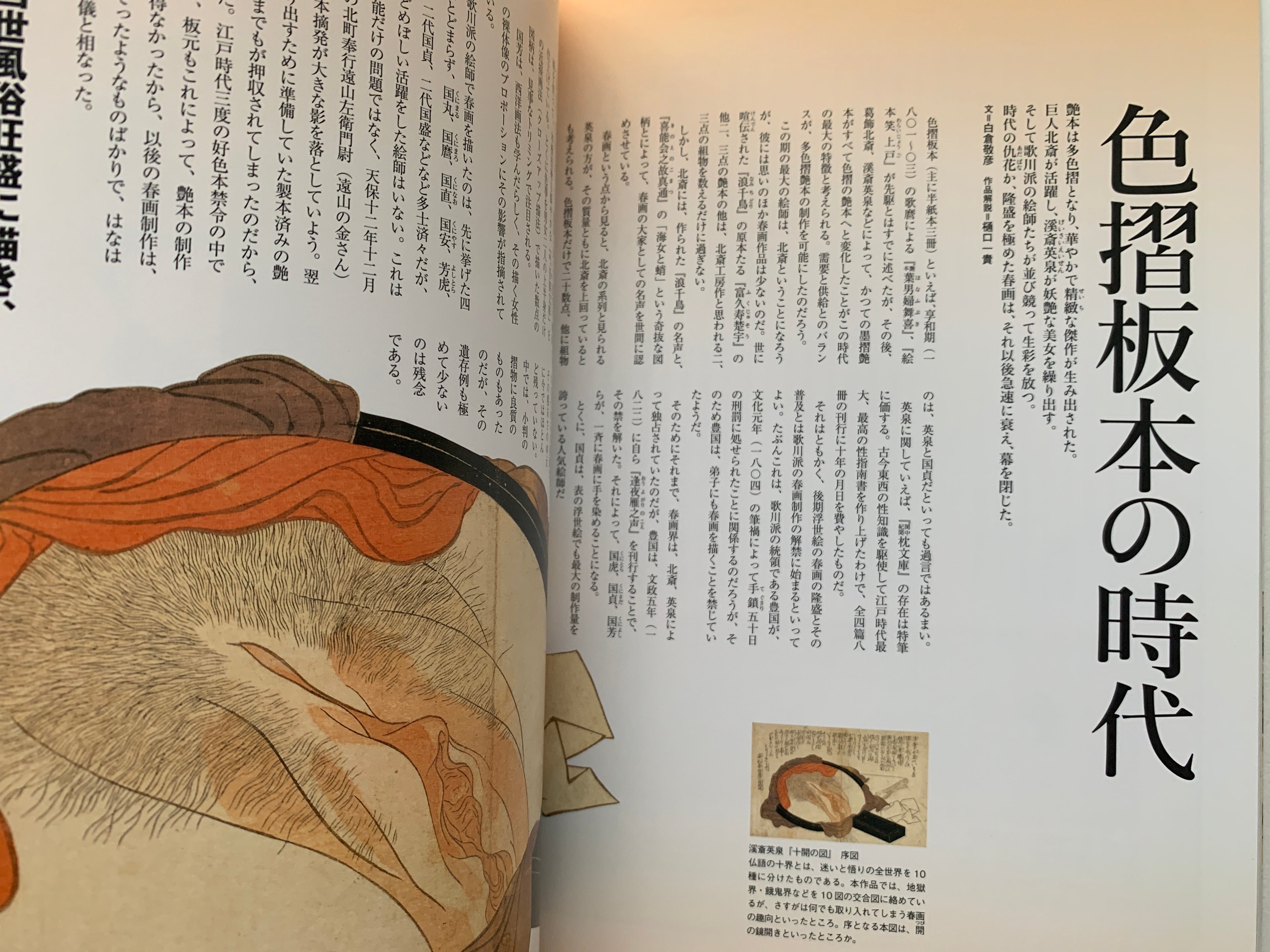 mini SHUNGA & mini SHUNGA II