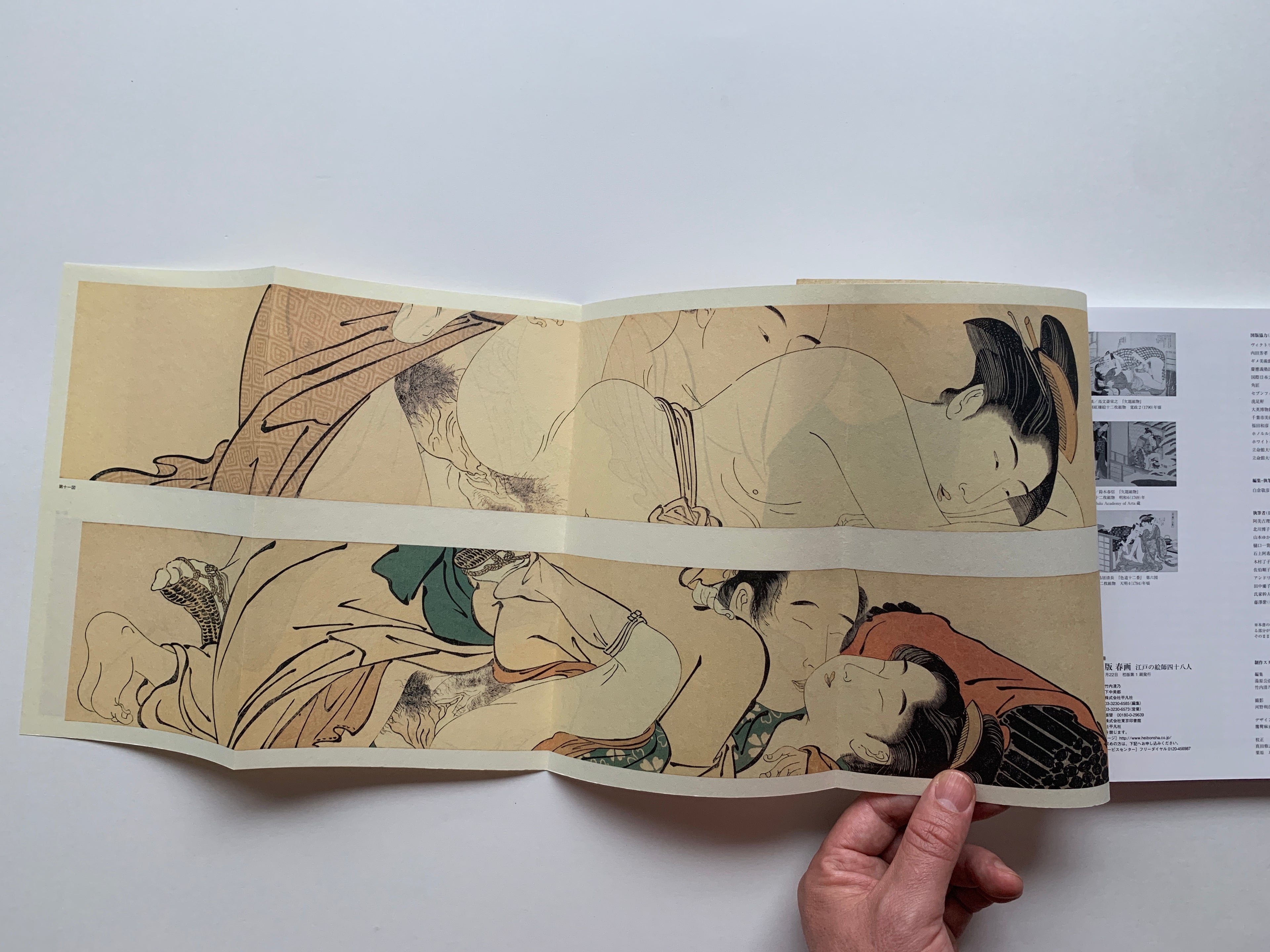 mini SHUNGA & mini SHUNGA II