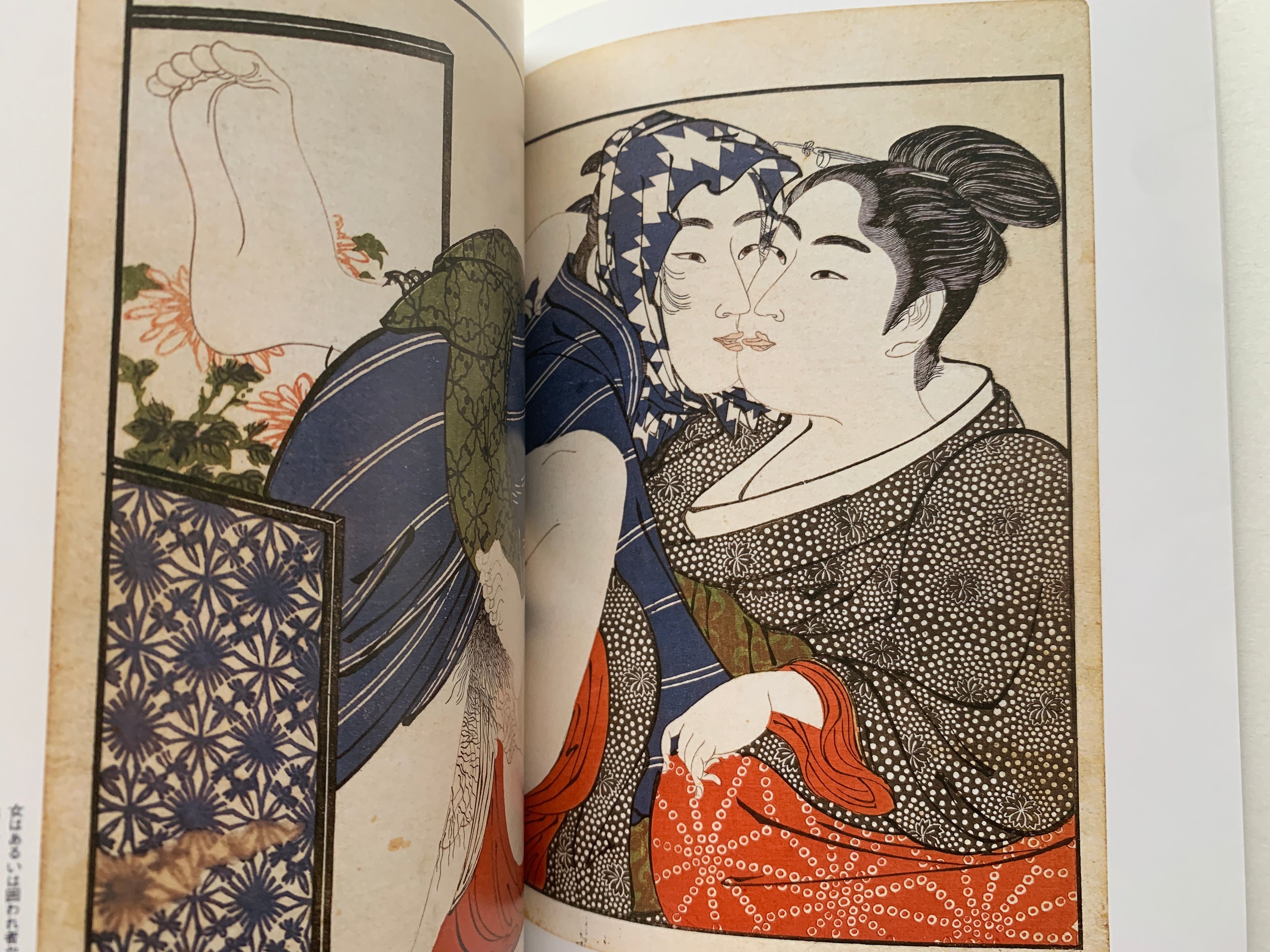 mini SHUNGA & mini SHUNGA II